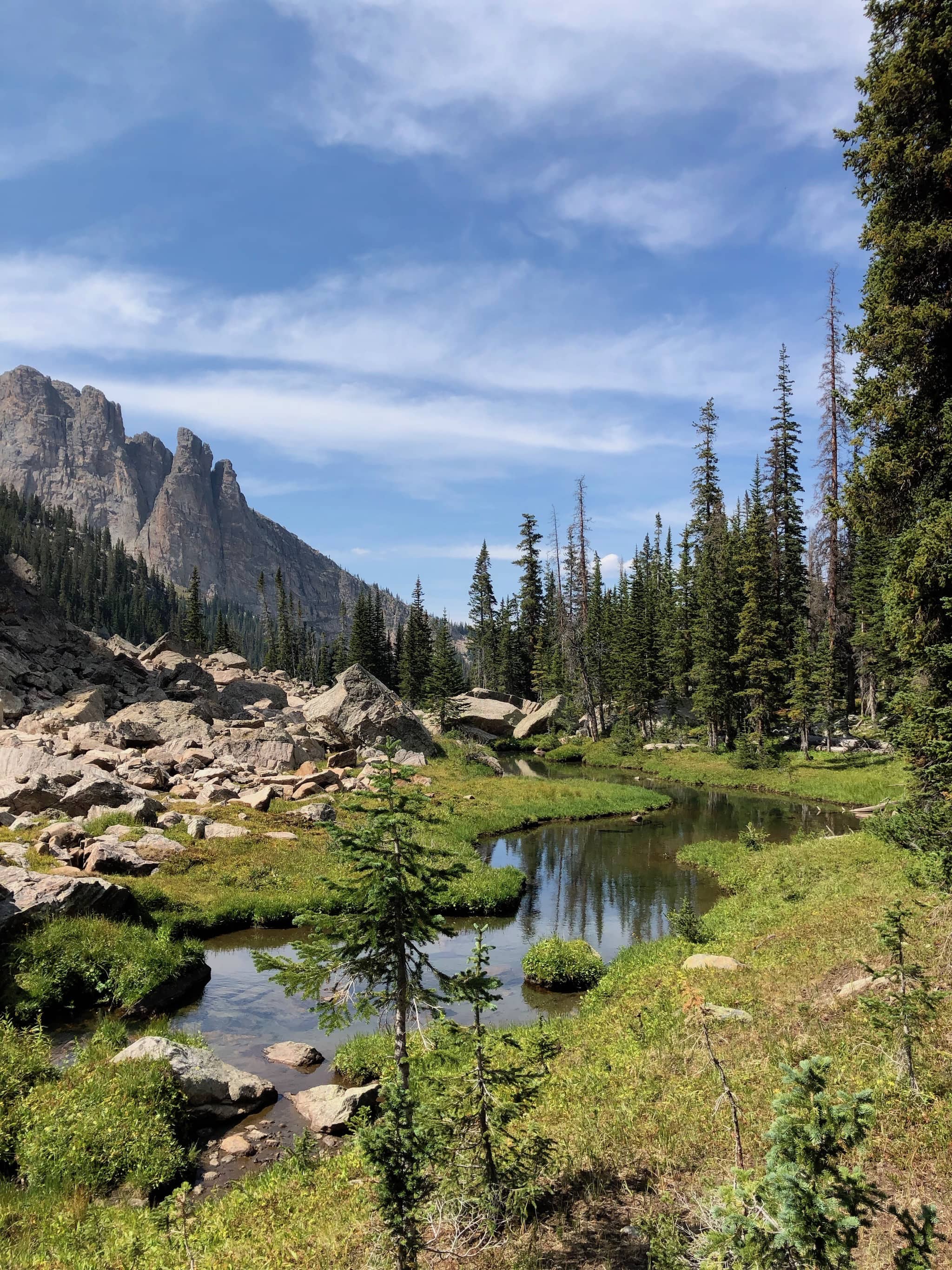 A creek running through a meadow. 