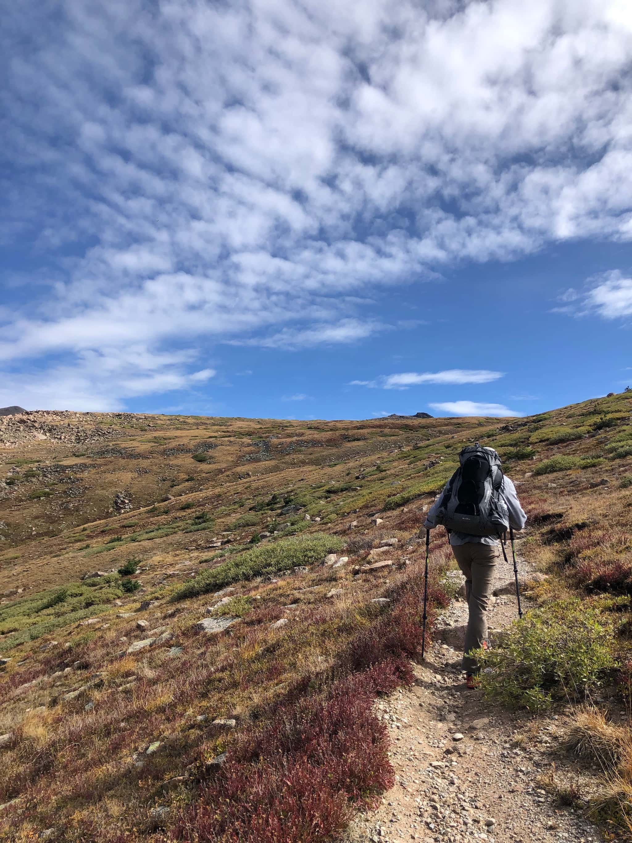 A man walking along a path with low shrubs on both sides.