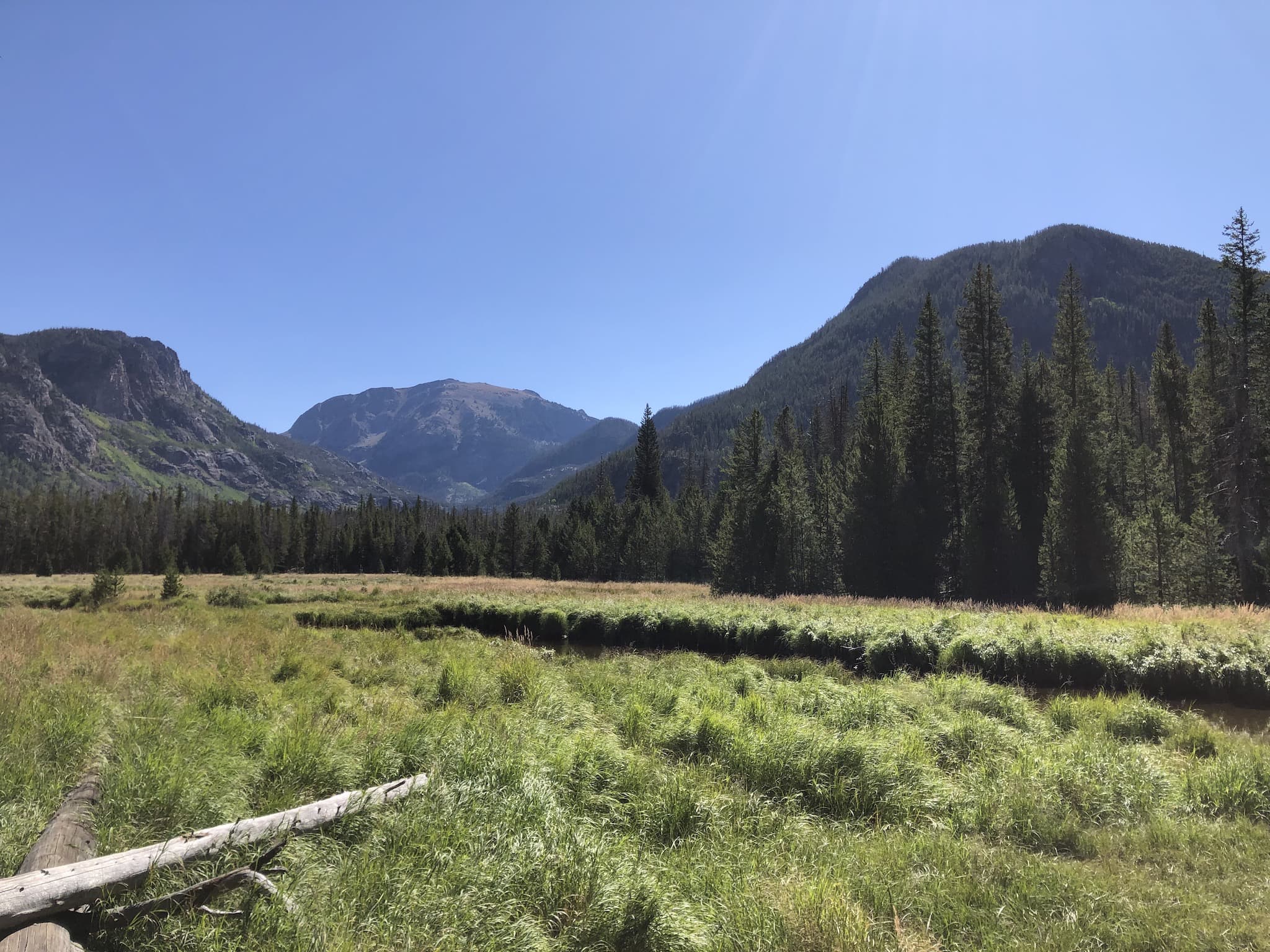 A green meadow with mountains in the background.