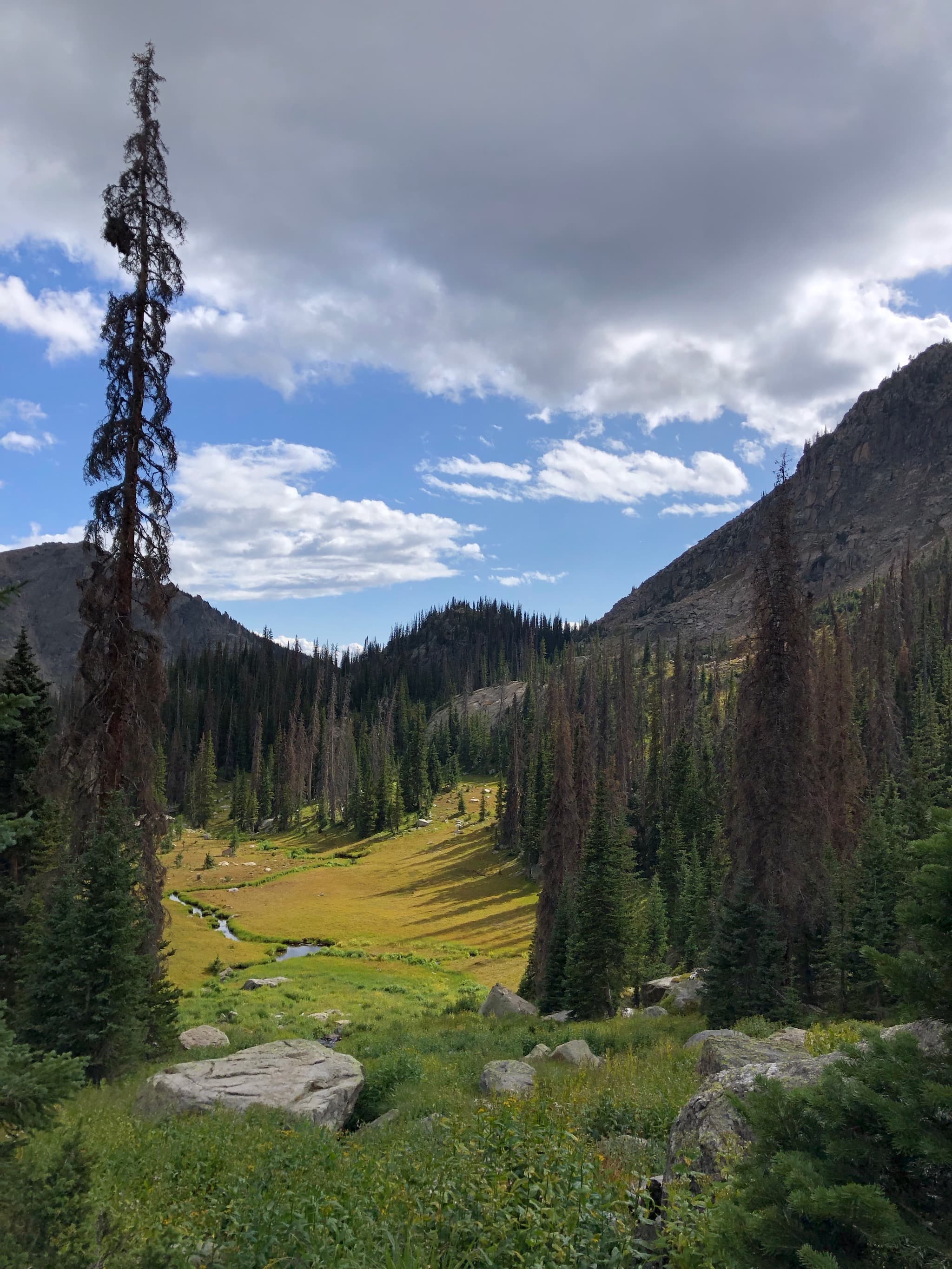 Looking down towards a meadow with a stream.