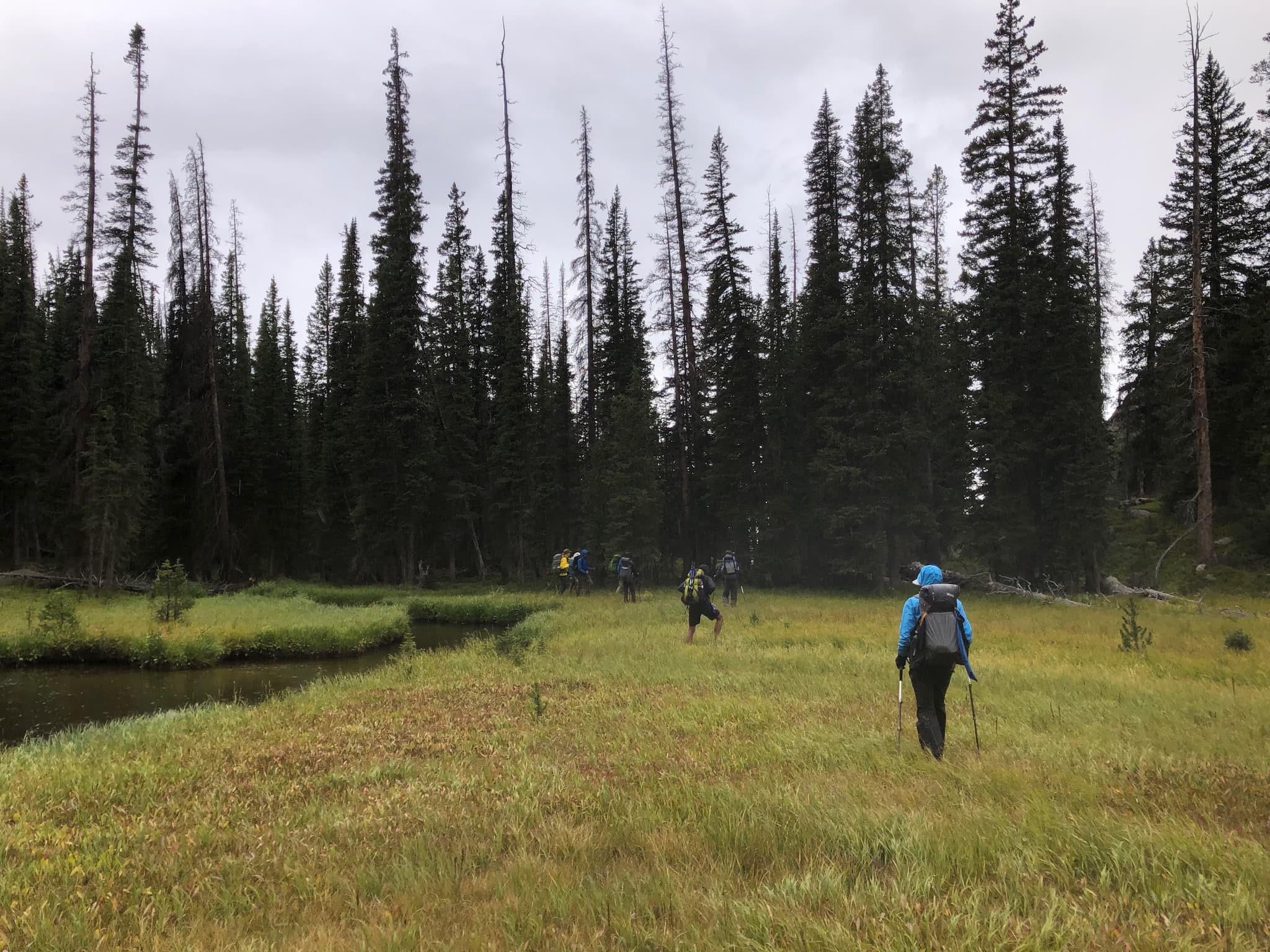 Backpackers walking through a marsh