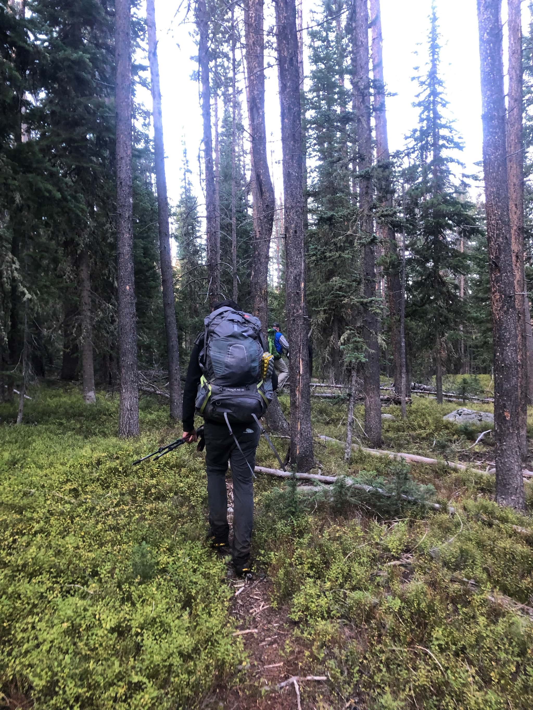 A backpacker walking on a narrow path in the forest.