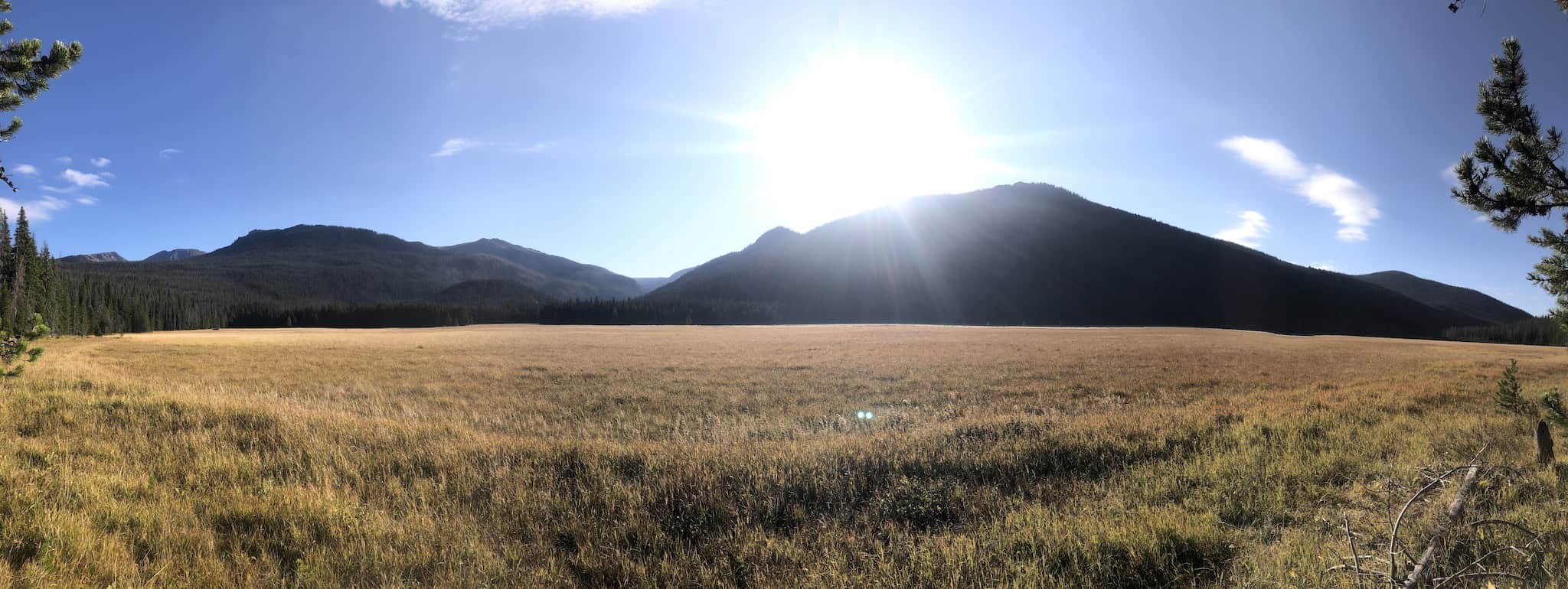 A vast meadow of golden grass and mountains in the distance.