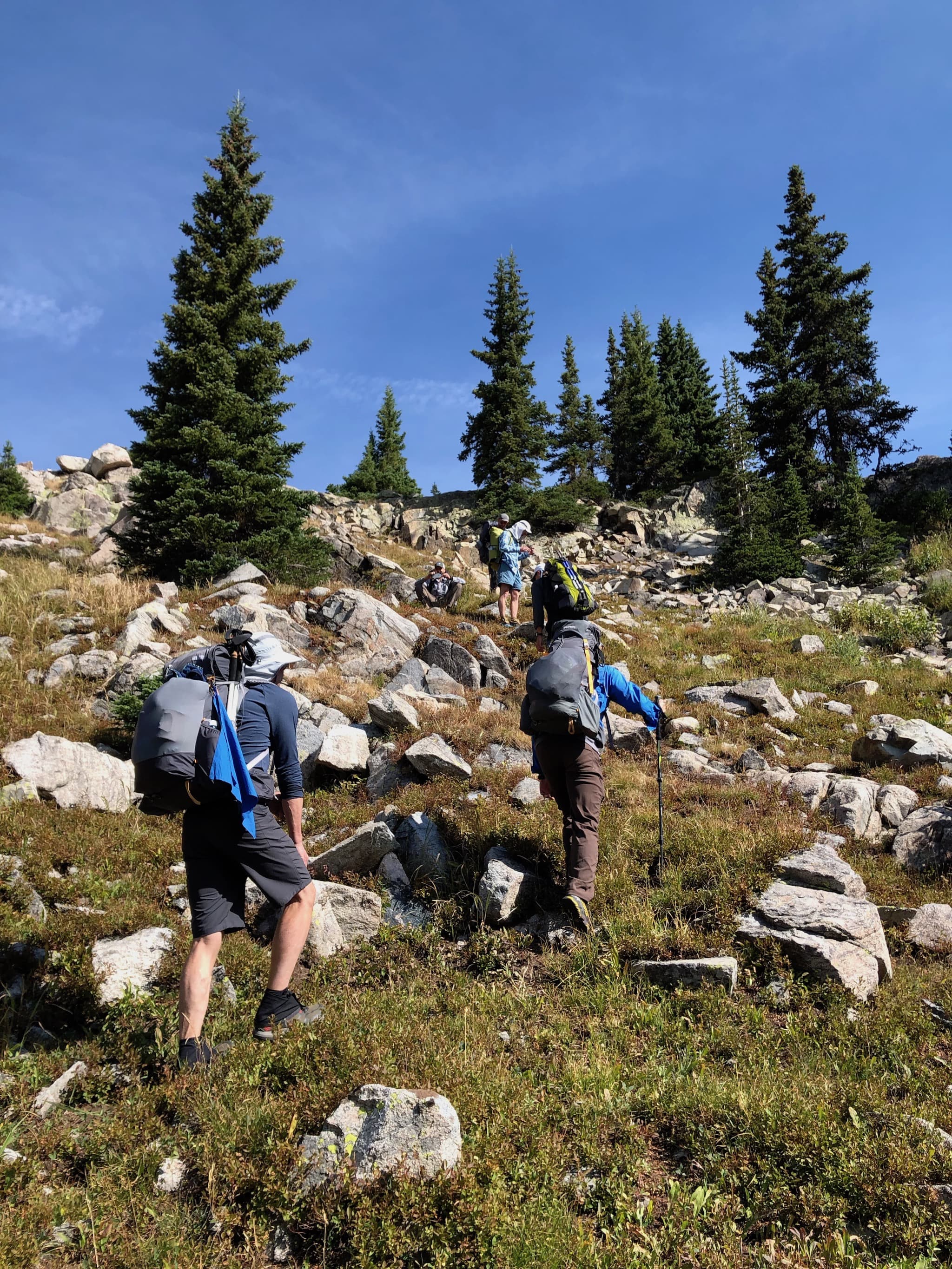 Backpackers approaching the top of a hill.