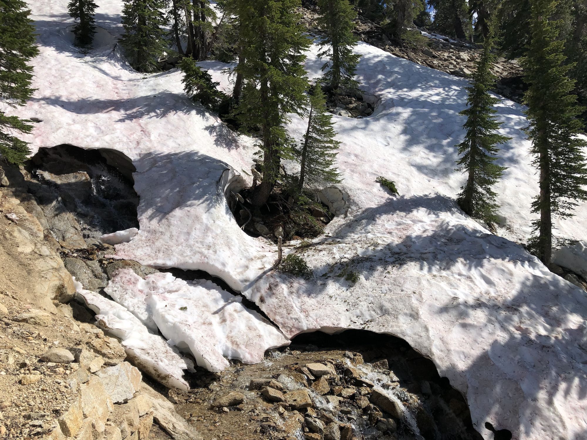 A collapsed snow bridge on the Tahoe Rim Trail.