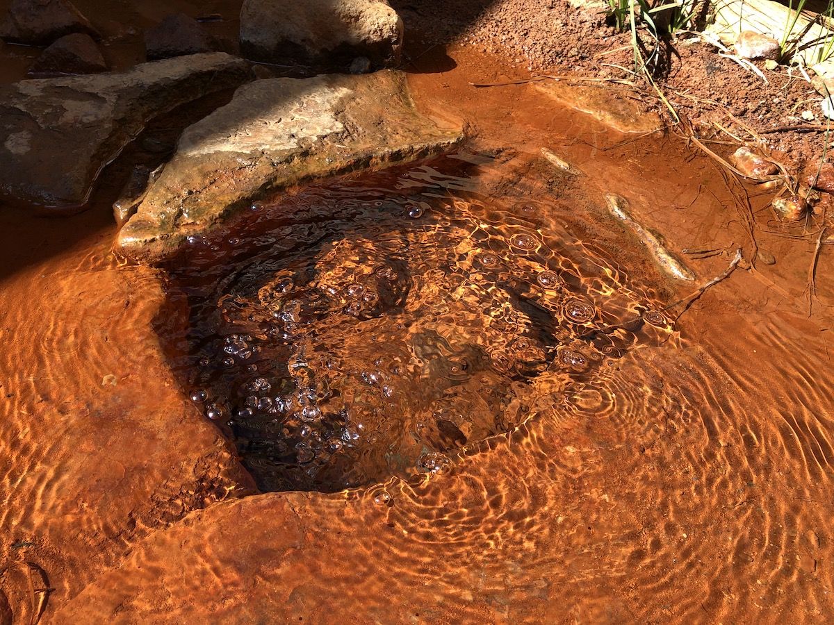 Carbonated water bubbling from Soda Spring.