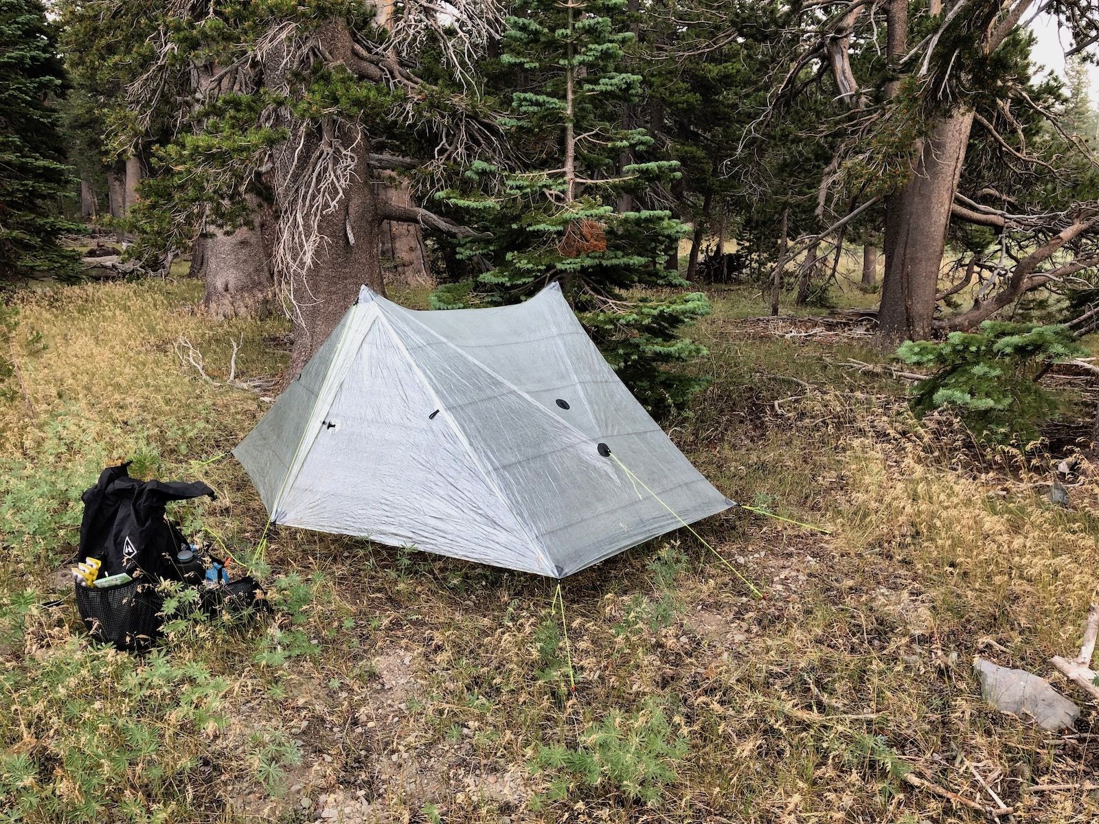 Tent tucked in under trees at South Camp Peak.