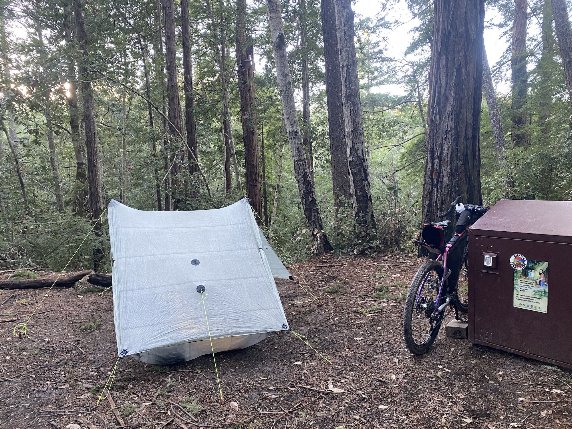 A tent and a bike next to a bear box