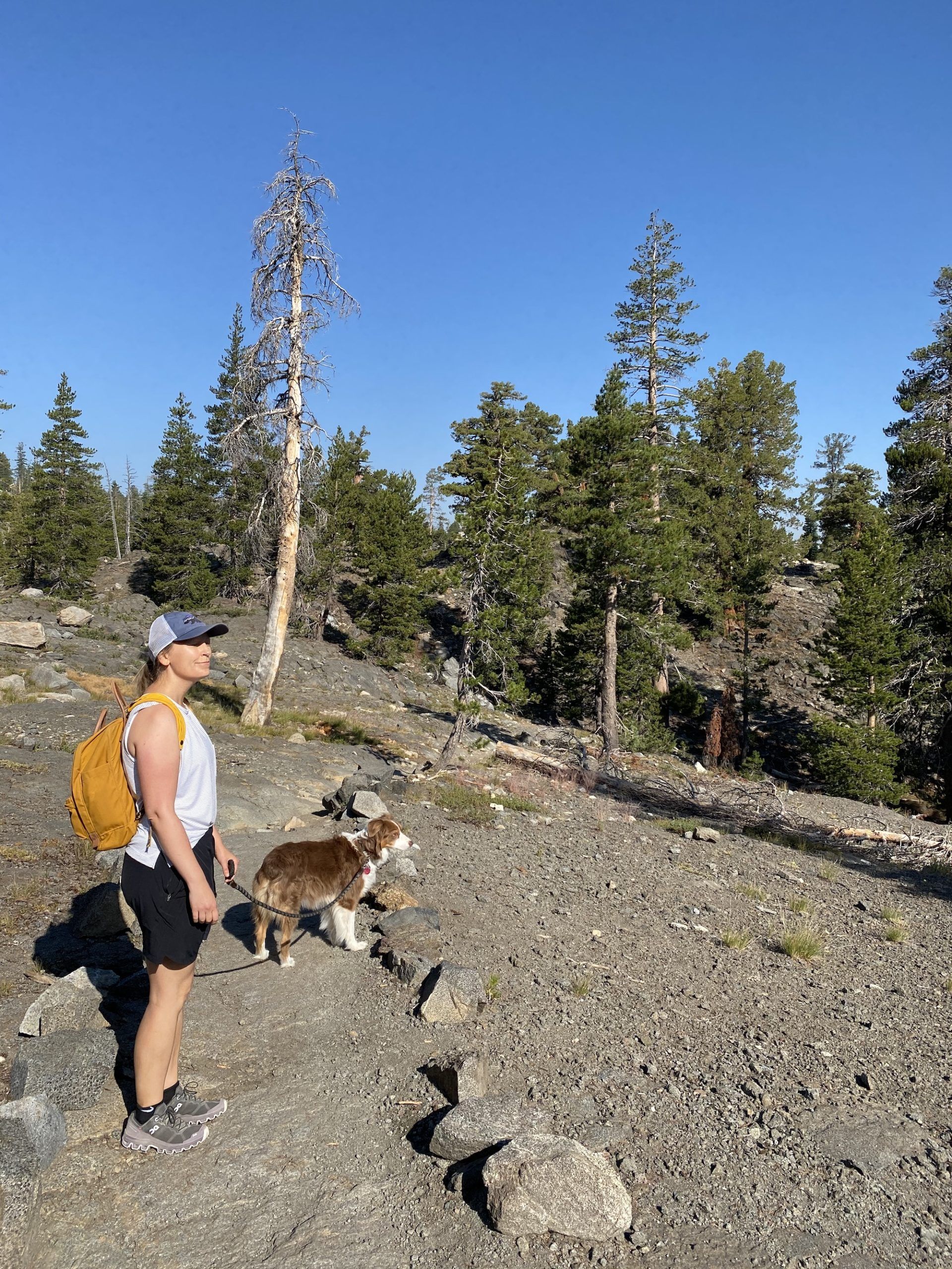 Dog friendly hikes south lake tahoe