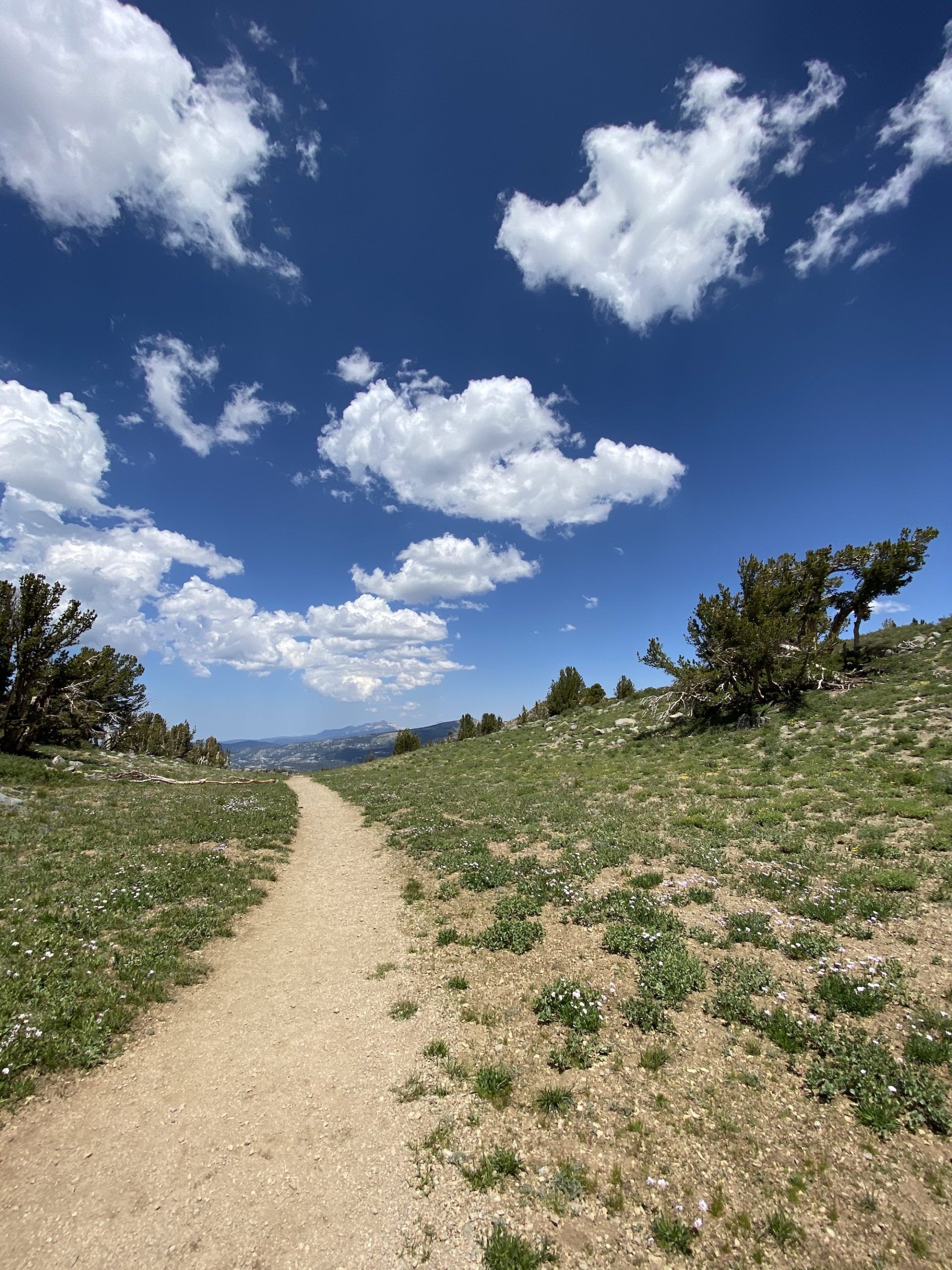 A trail leading off into the distance below a bright blue sky with white clouds