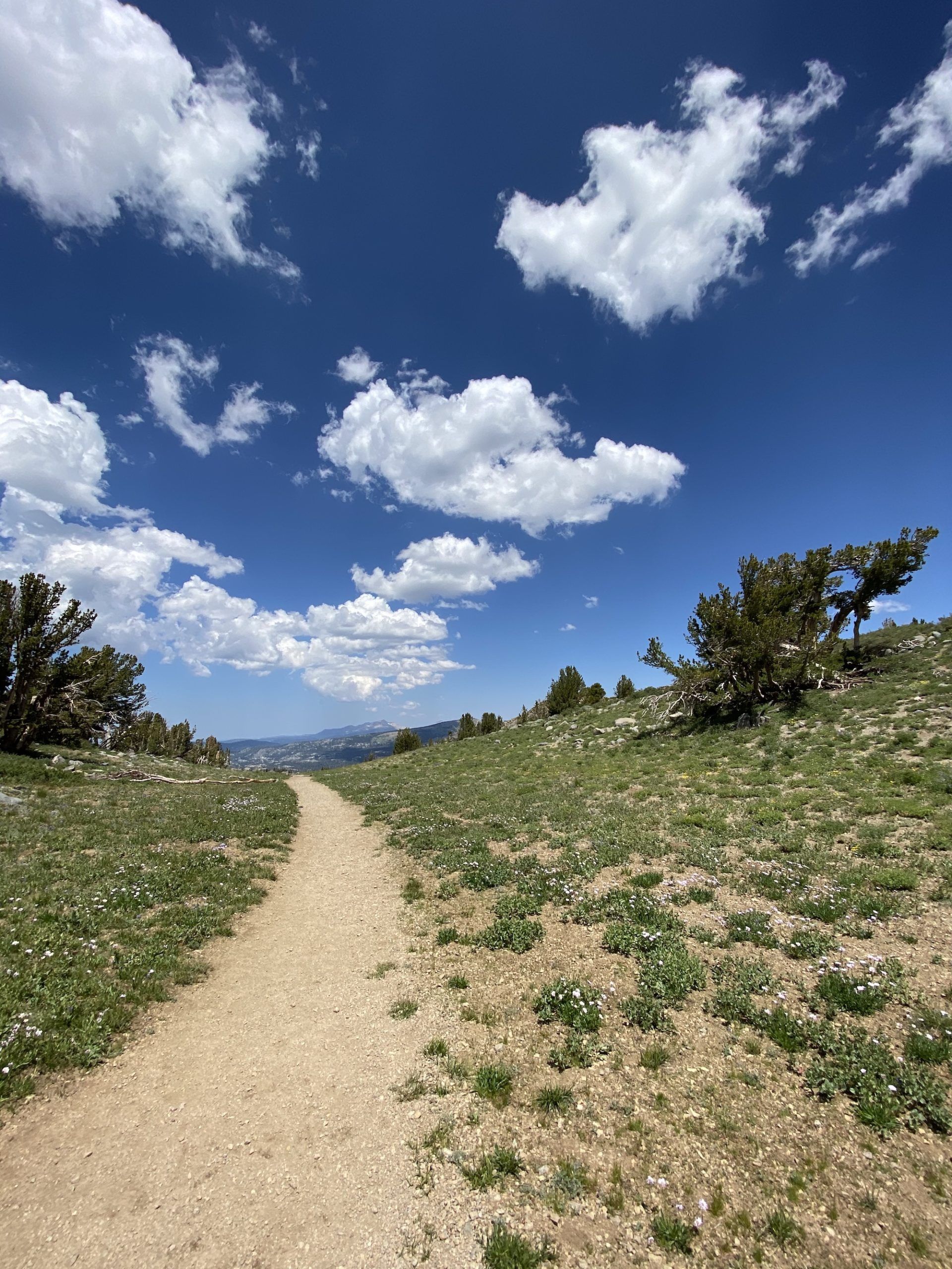 4 dog-friendly day hikes near South Lake Tahoe