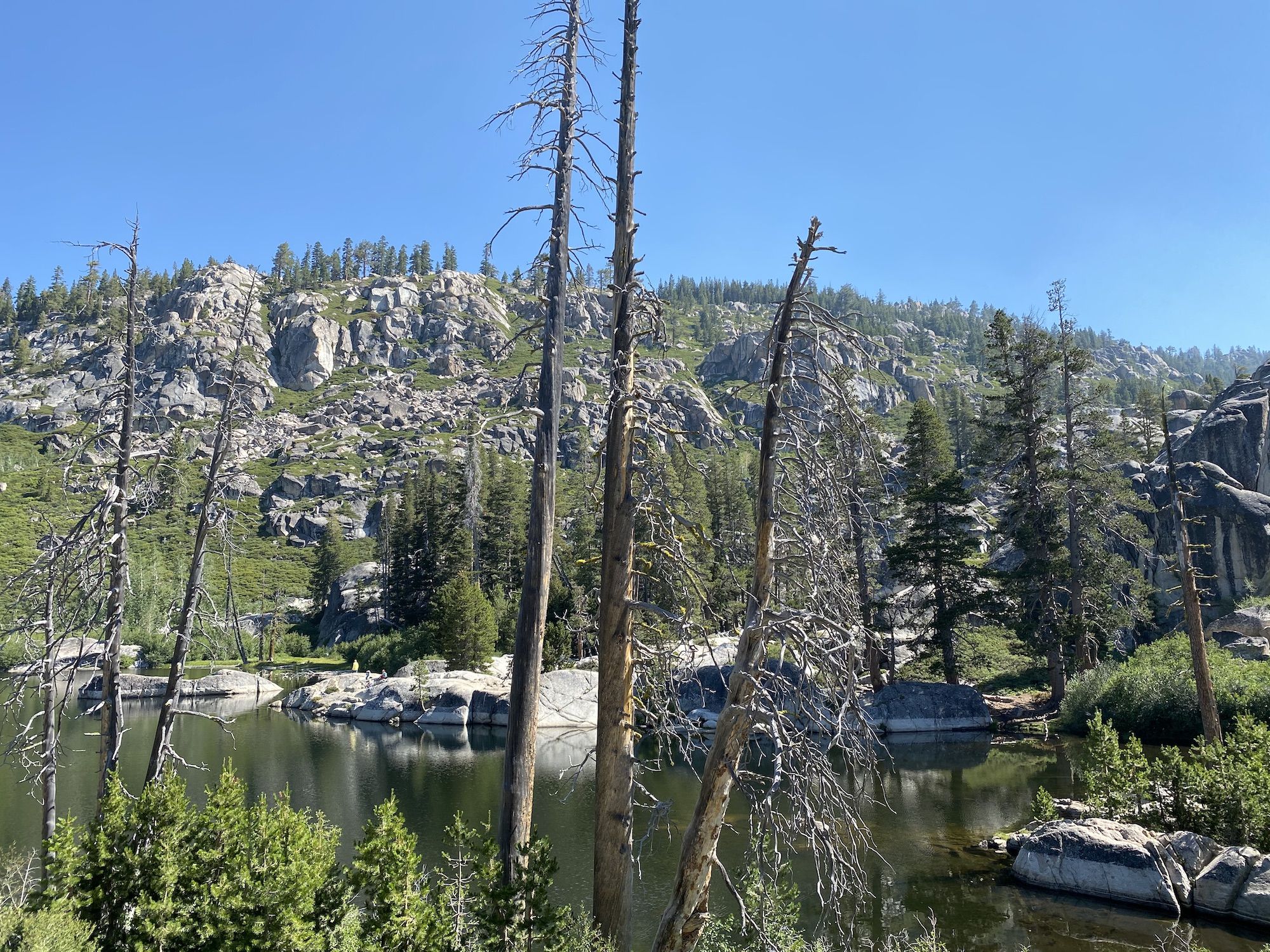 An alpine lake behind trees.