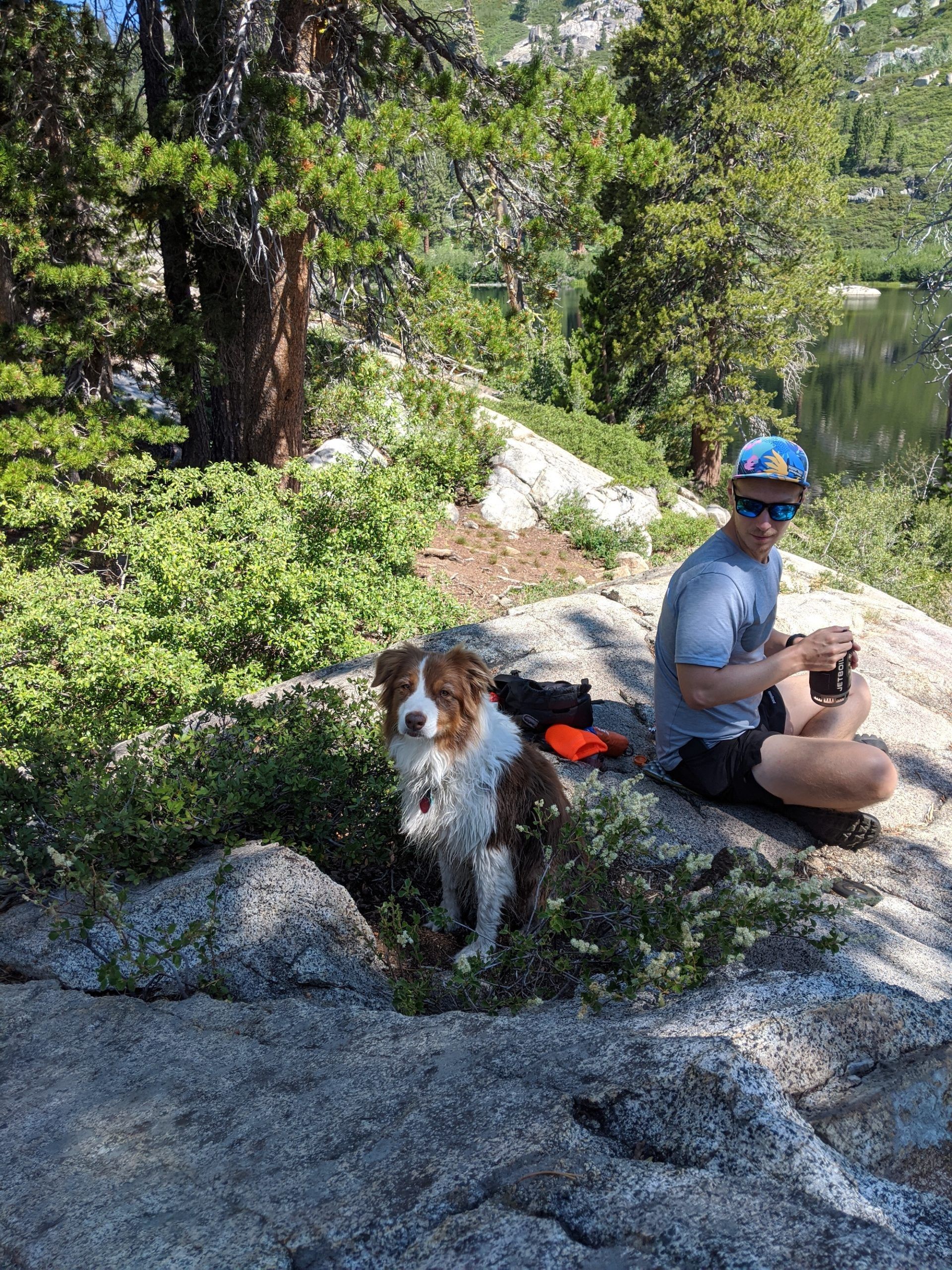 Dog friendly hikes south lake tahoe