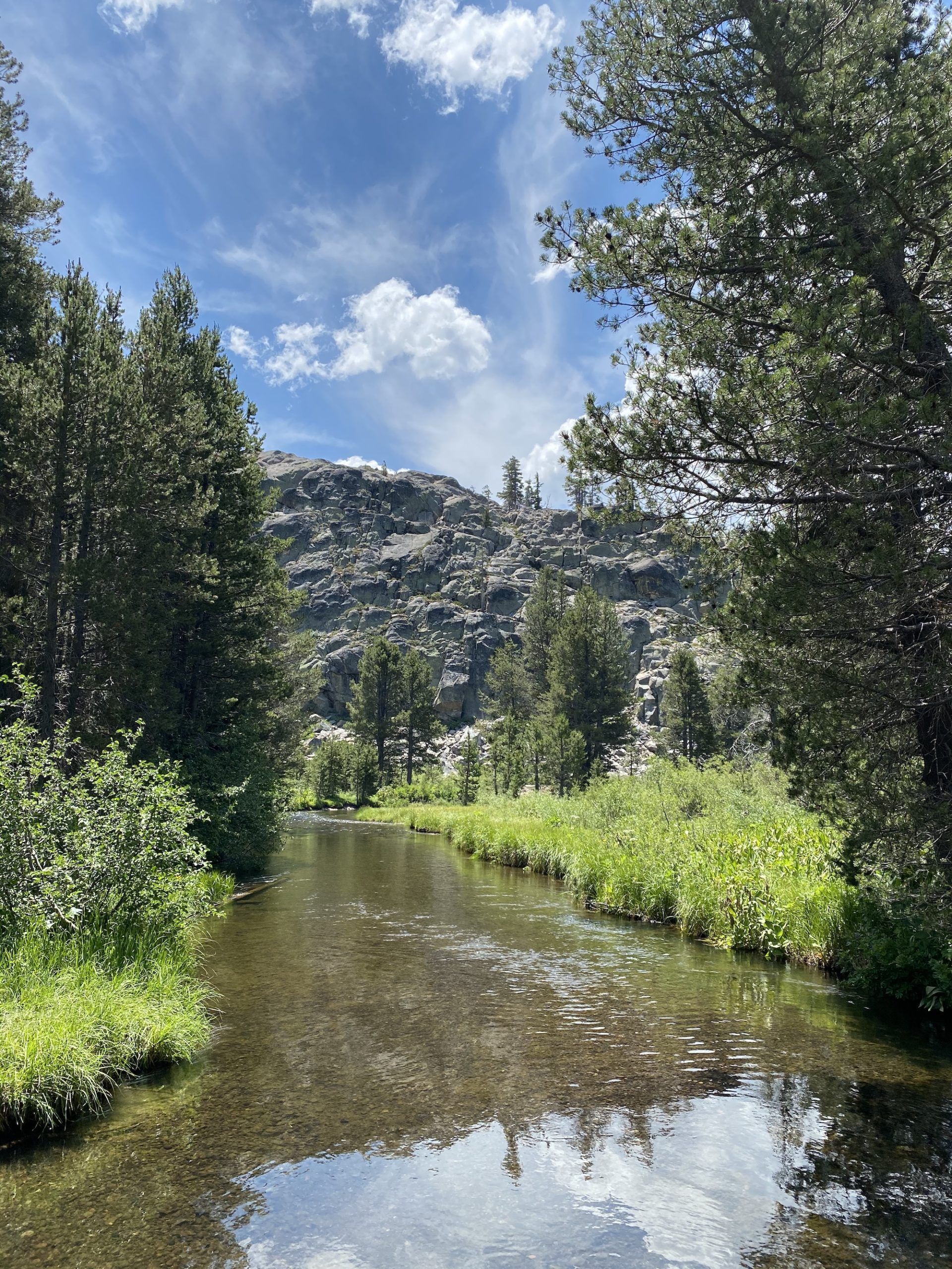 A small creek.