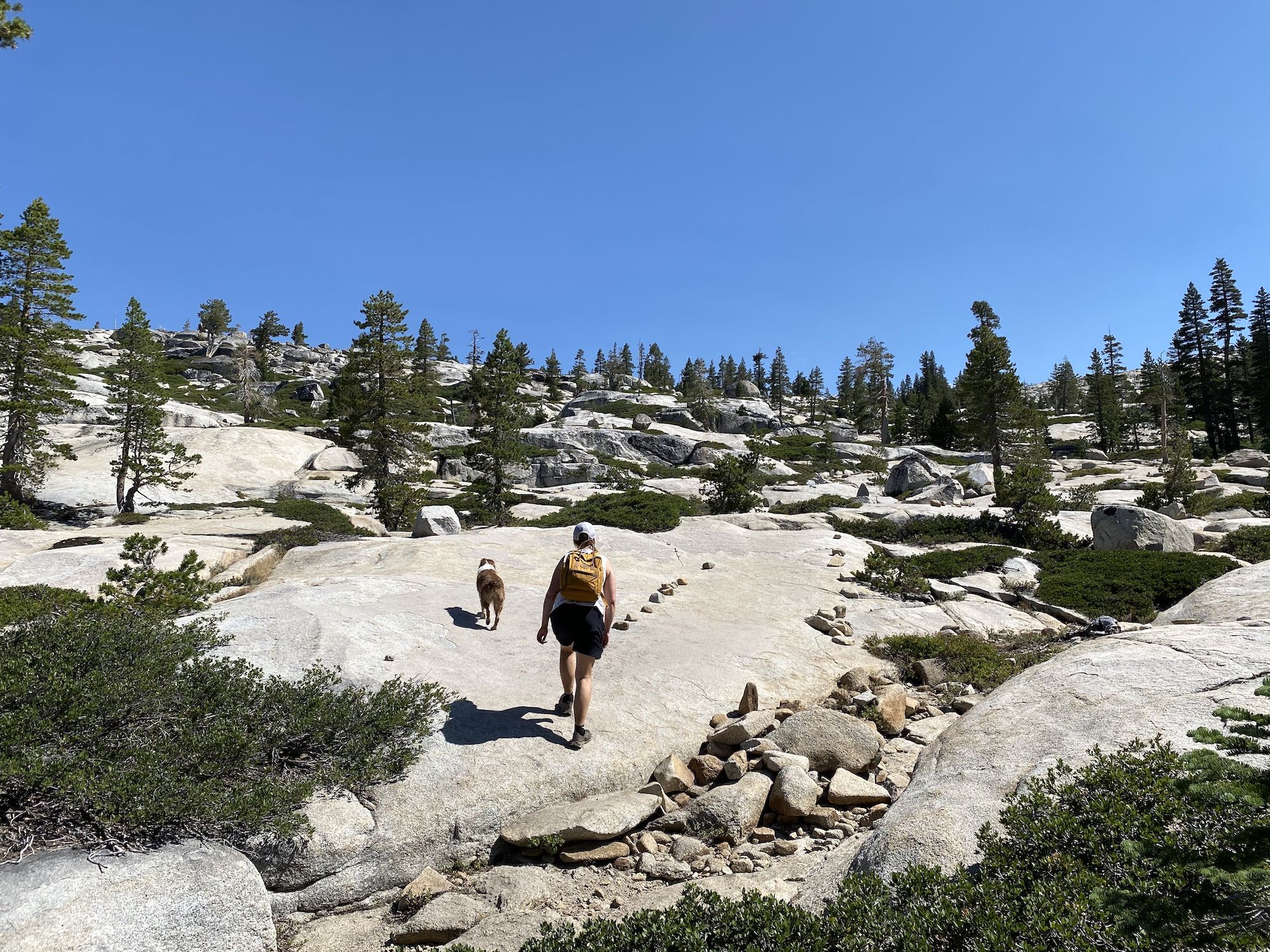 A woman and a dog hiking on a dog-friendly trail near Tahoe