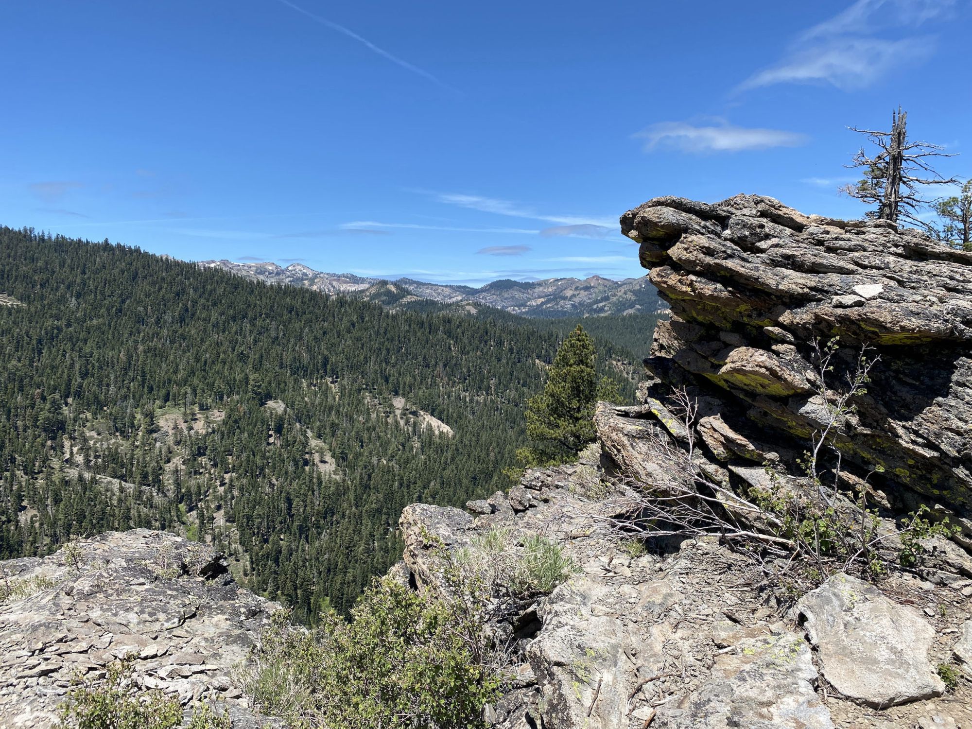 Cliff overlooking a forested valley
