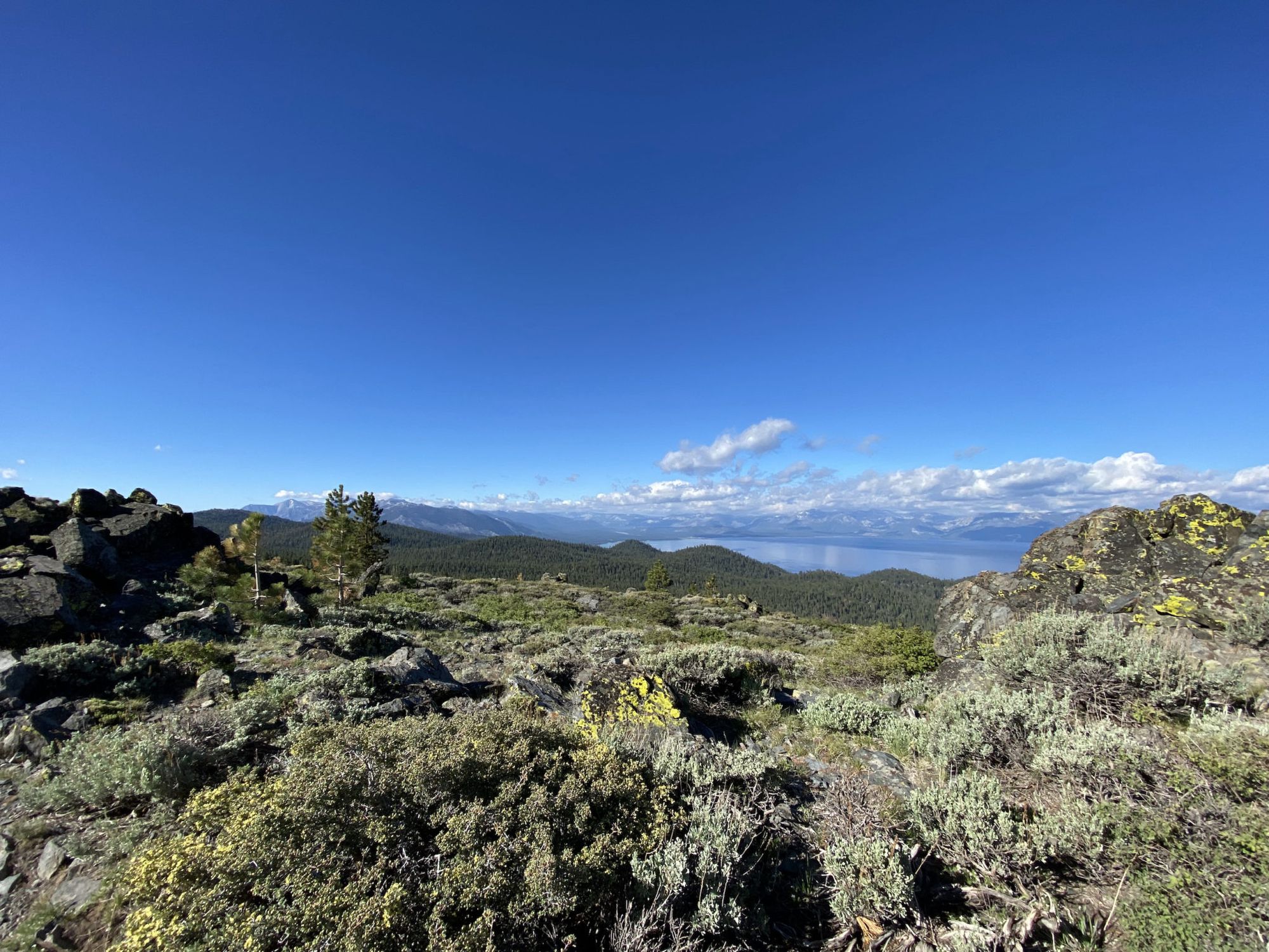 Tahoe Rim Trail 2021 trip report – 8 days, 182 miles