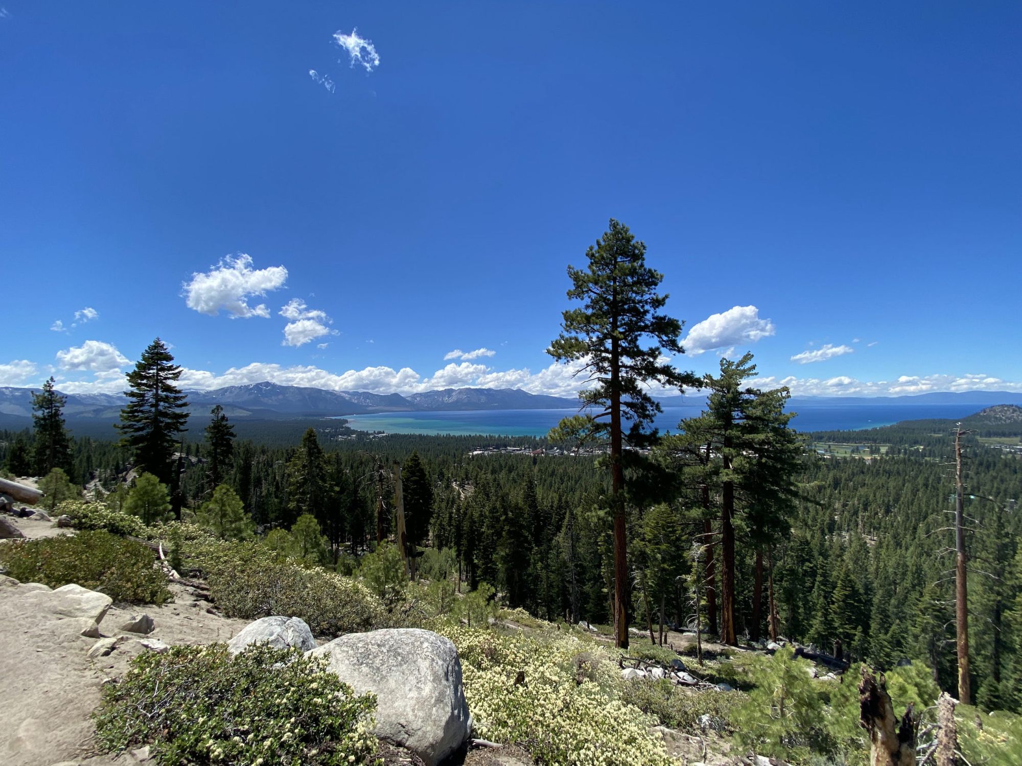 Tahoe Rim Trail 2021 trip report – 8 days, 182 miles