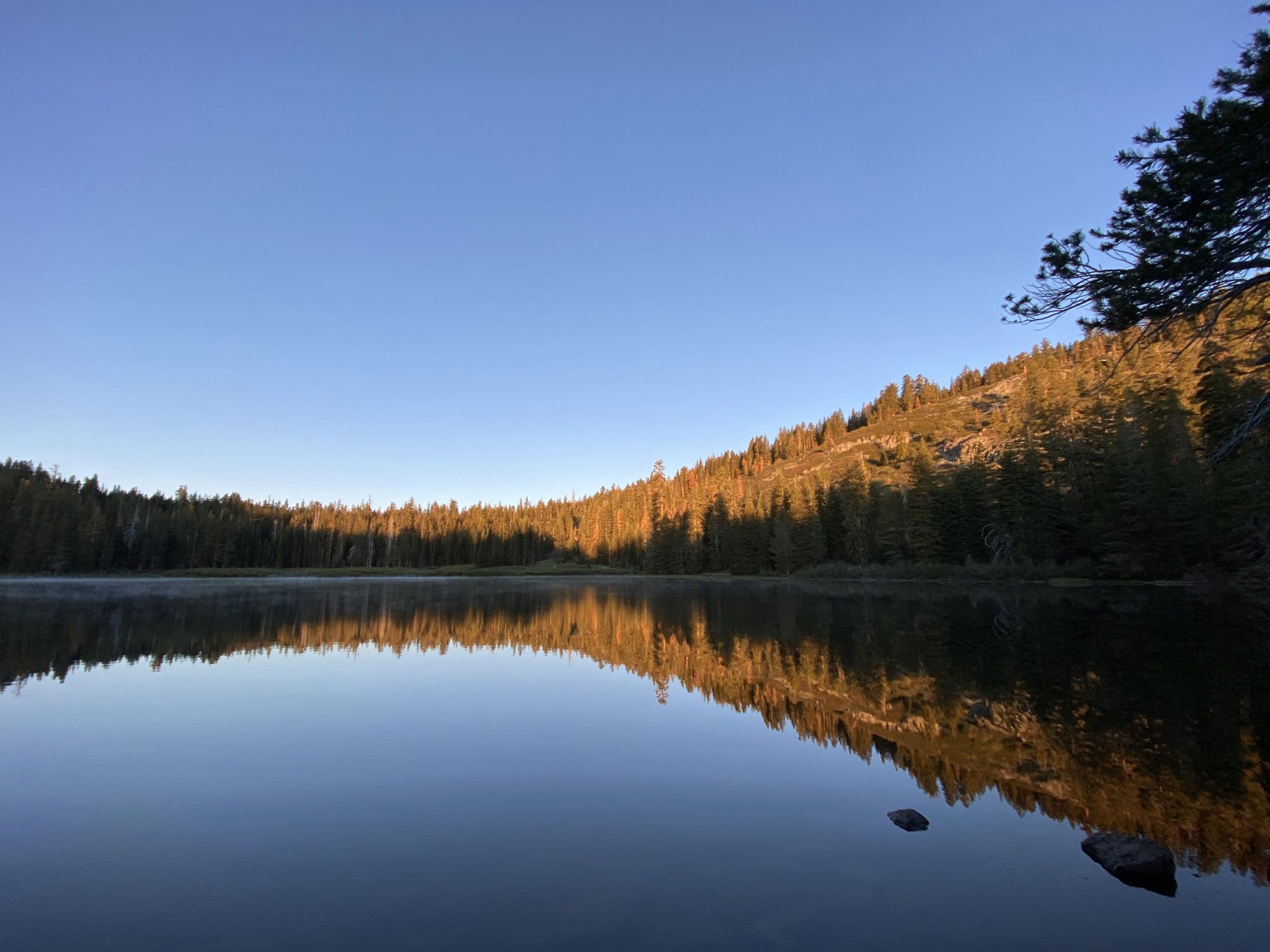 Mist rising over a calm lake