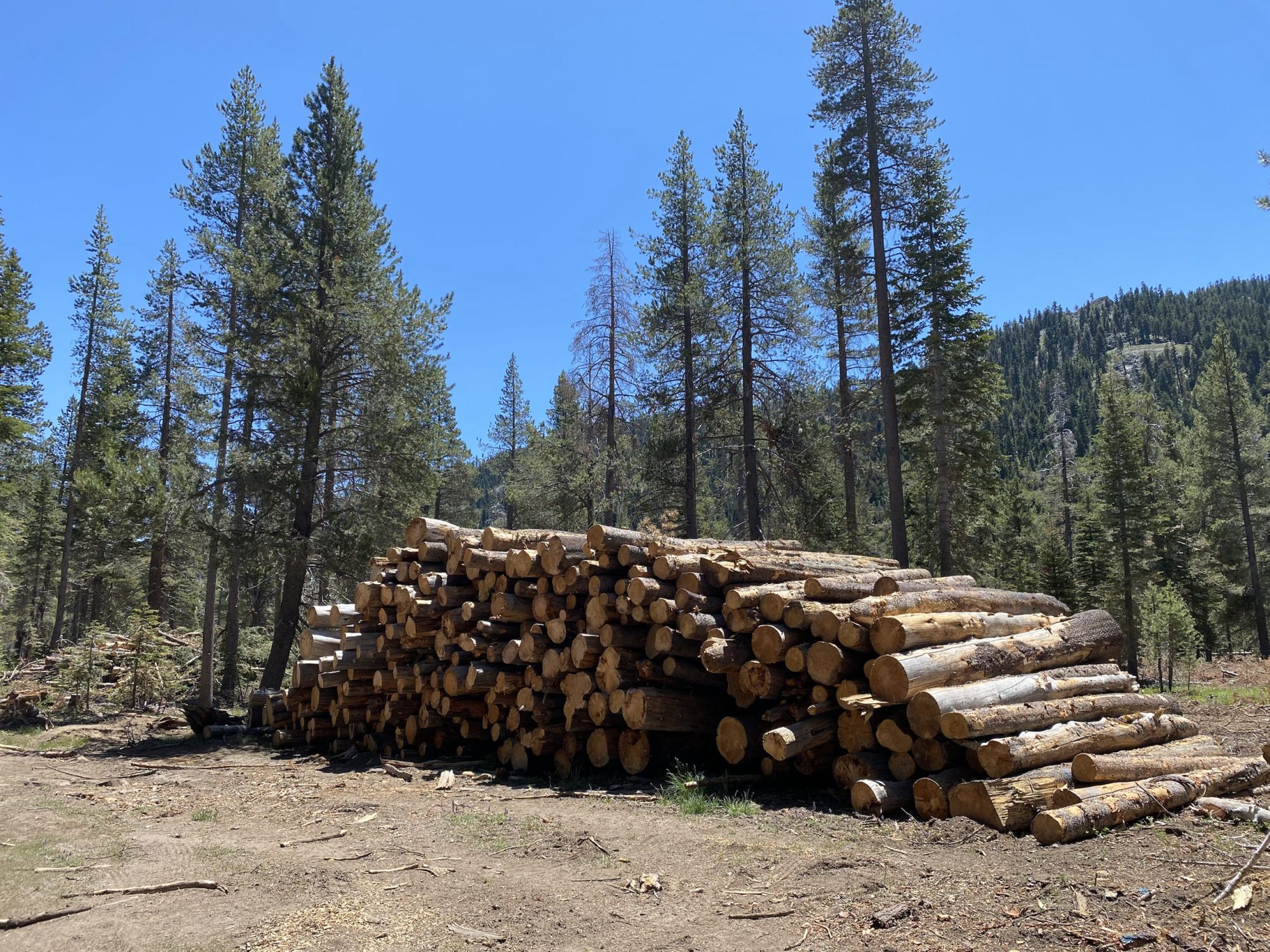 Tahoe Rim Trail 2021 trip report – 8 days, 182 miles