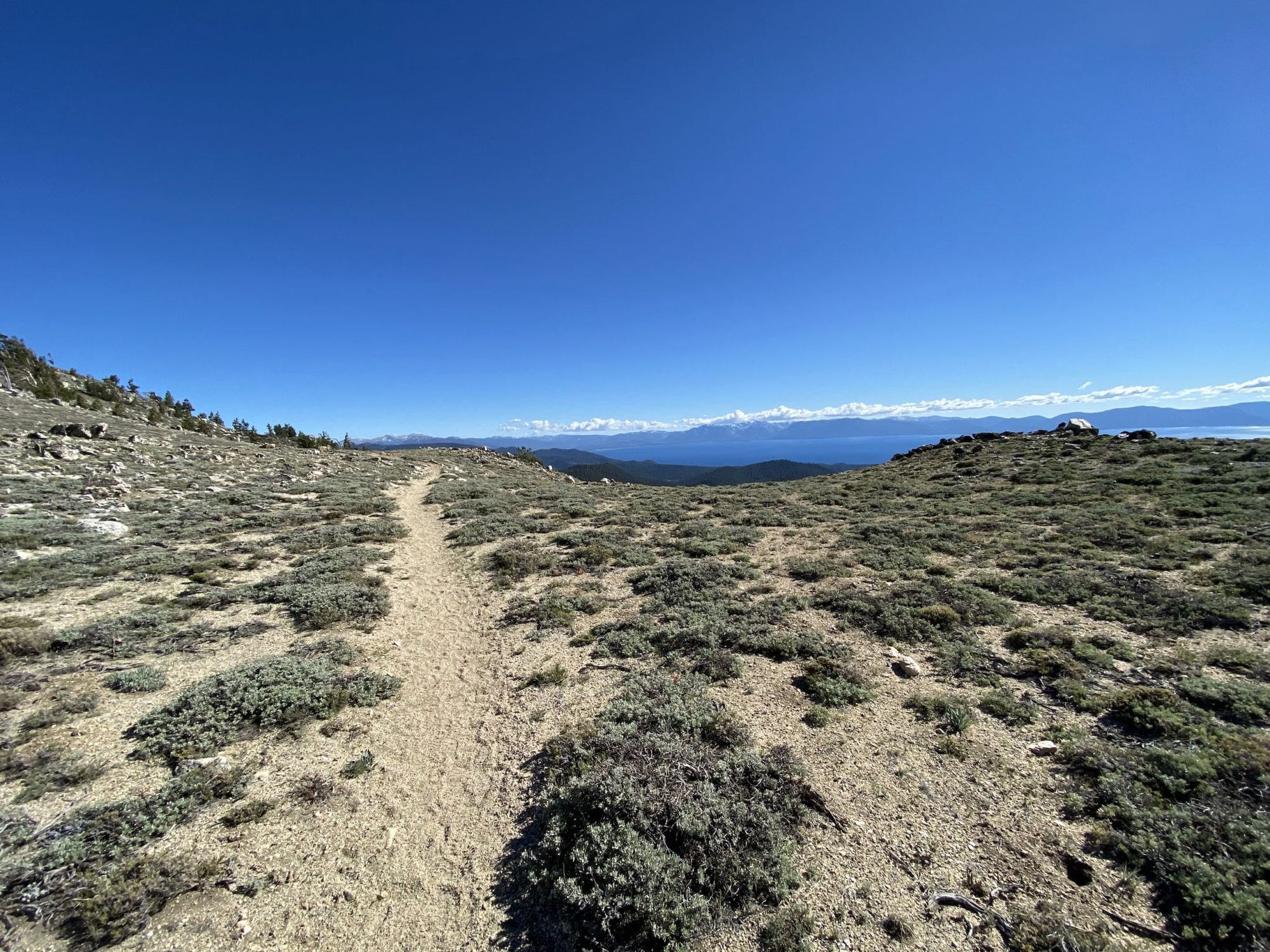 Open highland with low shrubs. Lake Tahoe in the distance. 