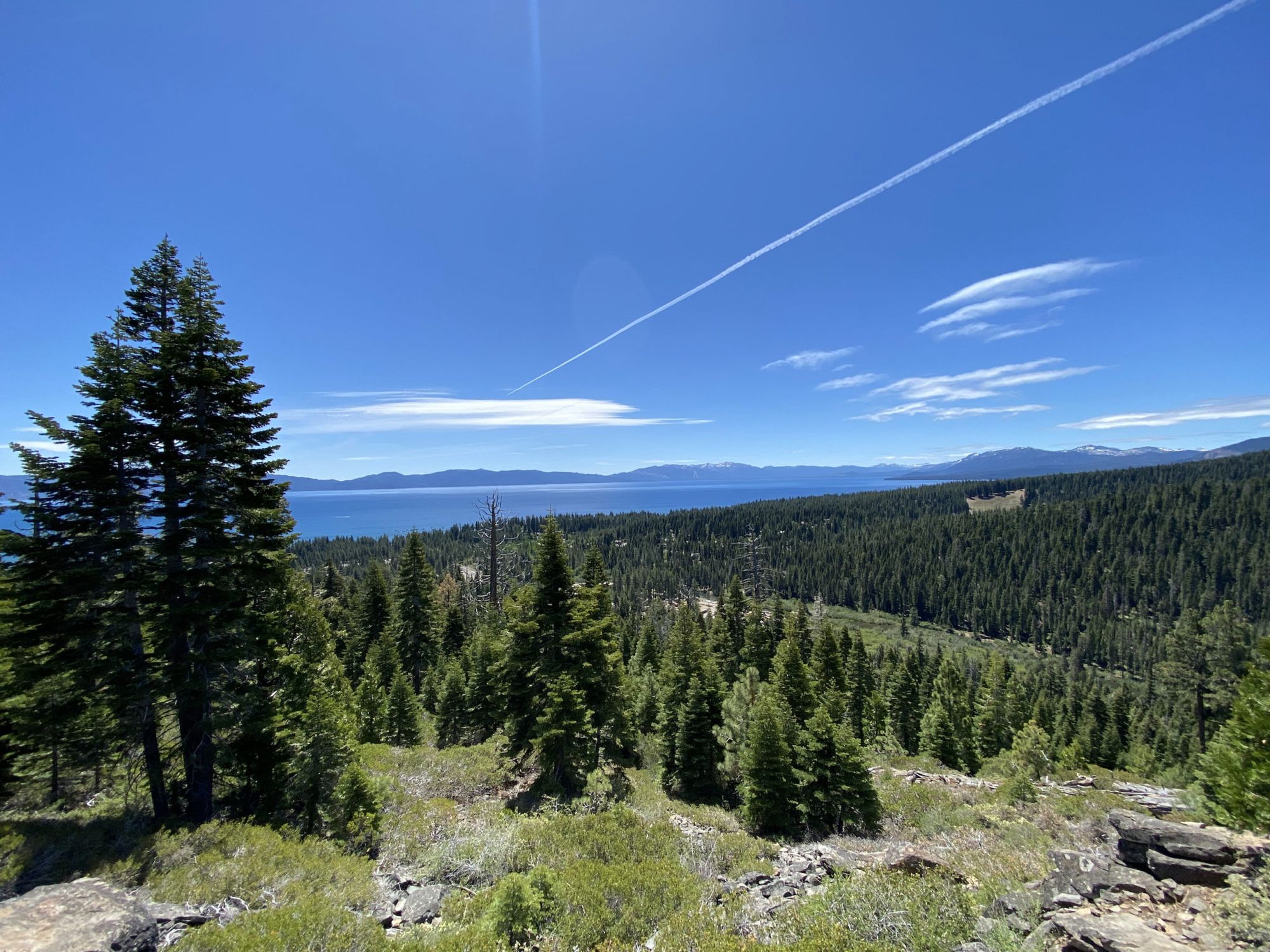 A blue lake in the distance behind a pine forest