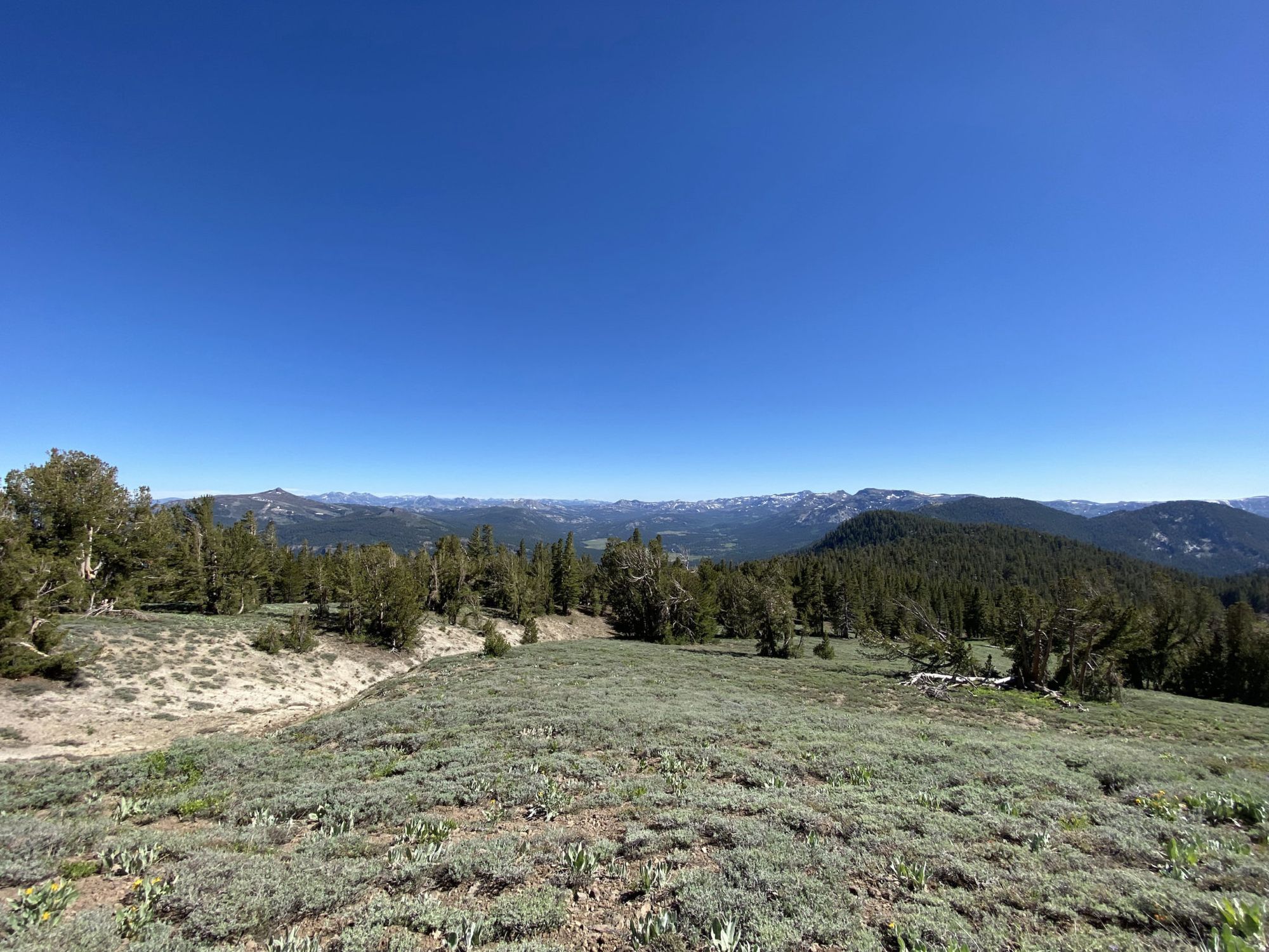 Tahoe Rim Trail 2021 trip report – 8 days, 182 miles