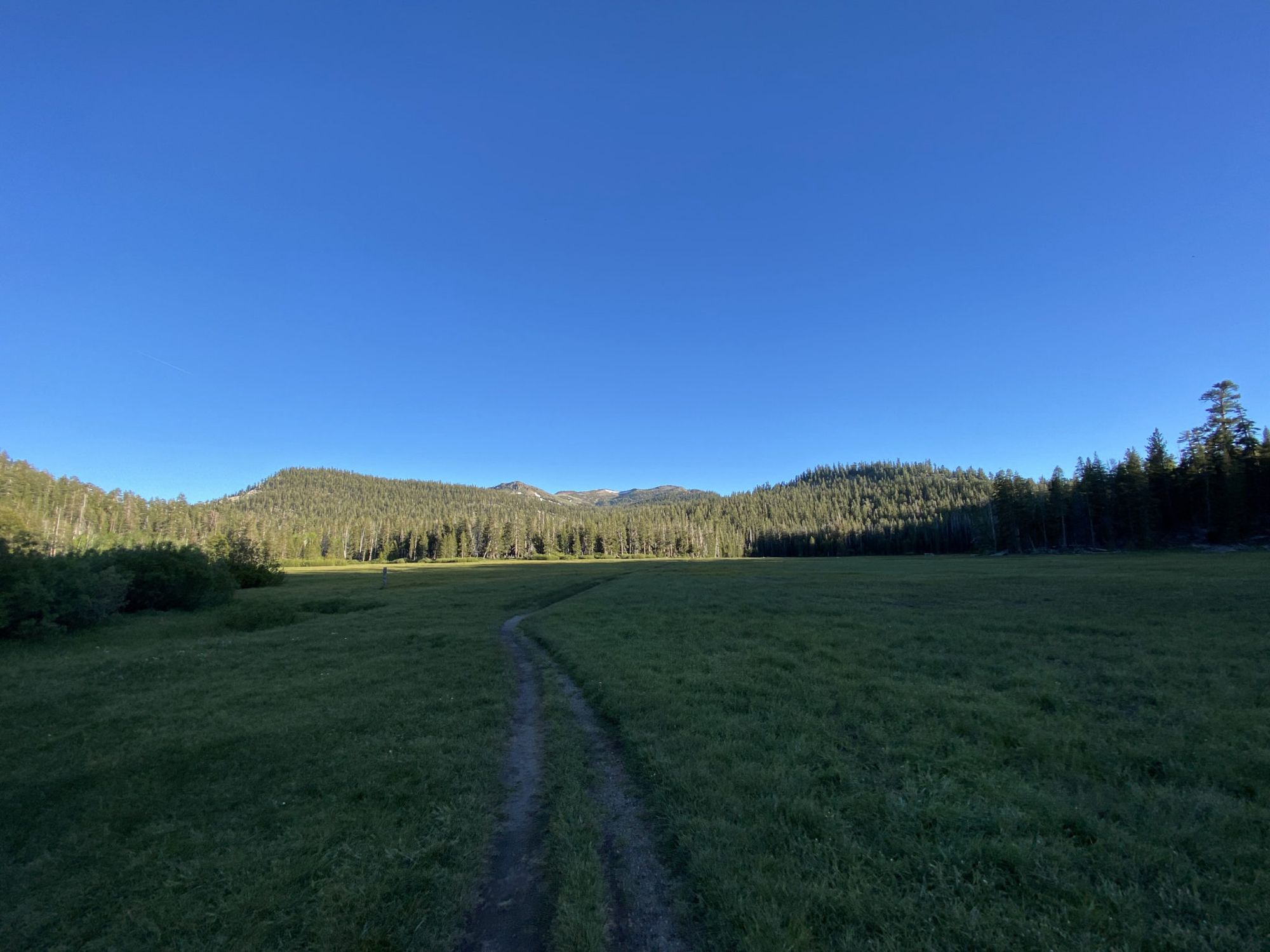 Two parallel trails crossing a large meadow