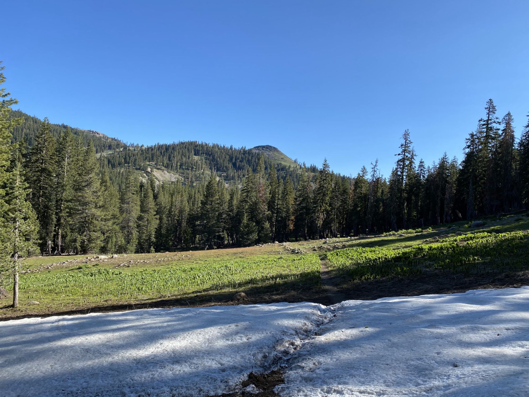 A meadow with snow in the foreground