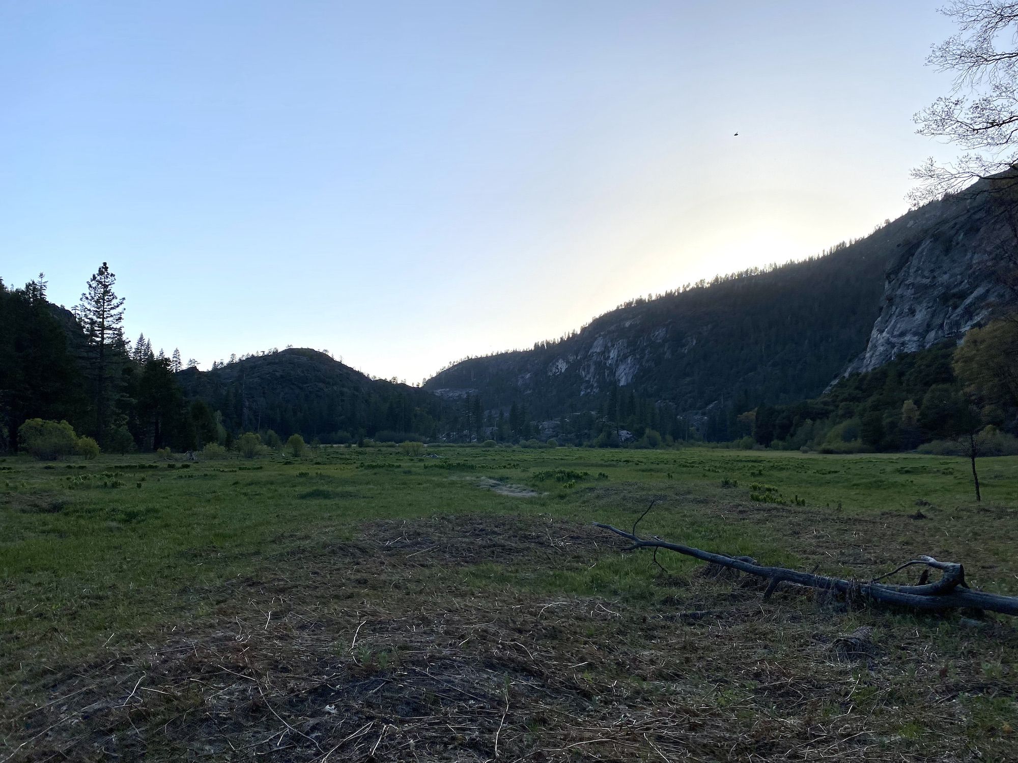 Twilight over a mountain meadow
