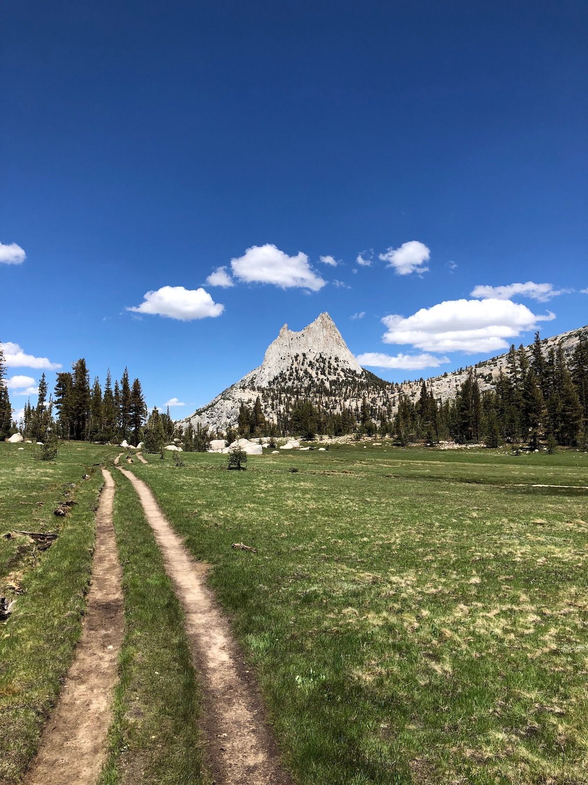 Trail through meadow.