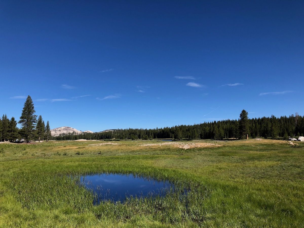 Tuolumne Meadows.