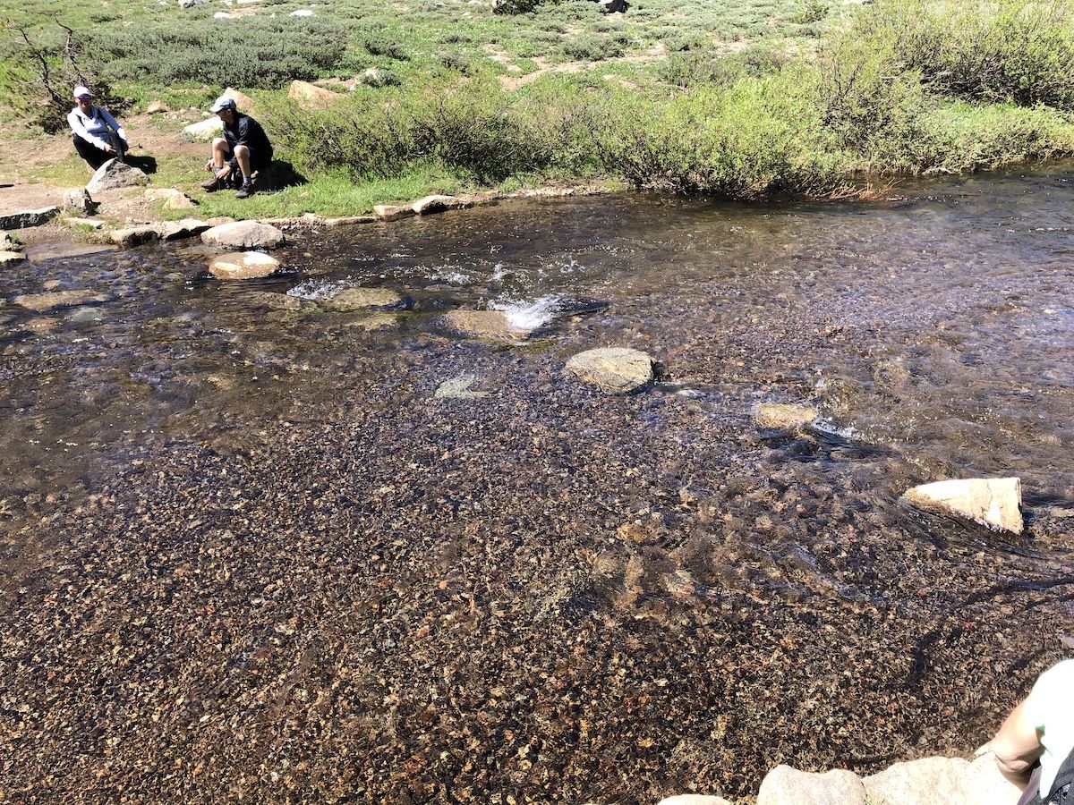 Upper Truckee was still running high and required fording.