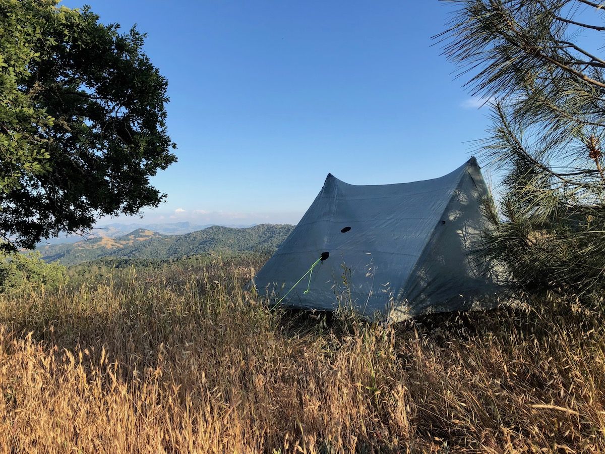 Backpacking tent tucked in by a pine with expansive views over Henry Coe.