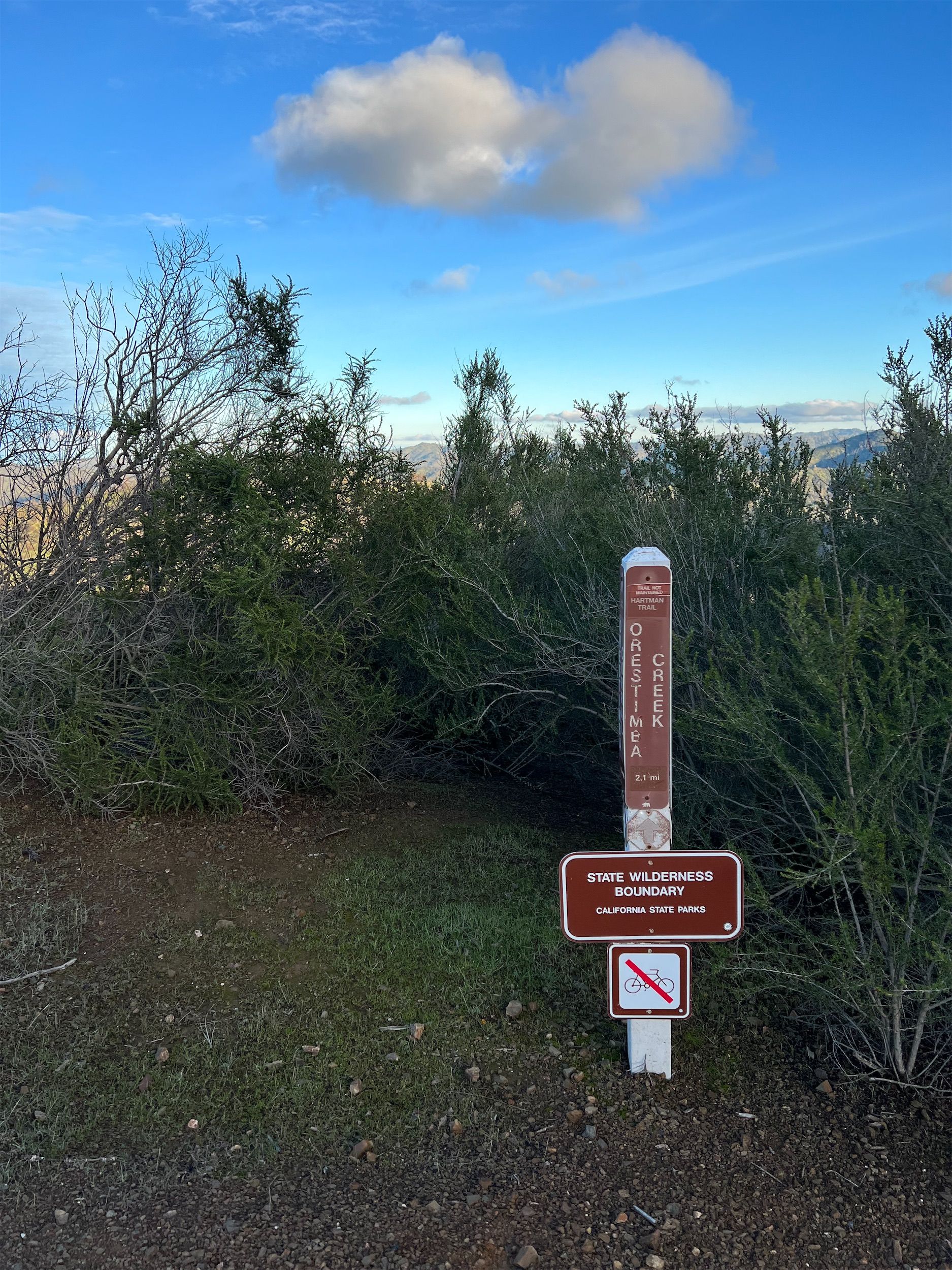 A trail sign pointing straight into inpenetrable brush.