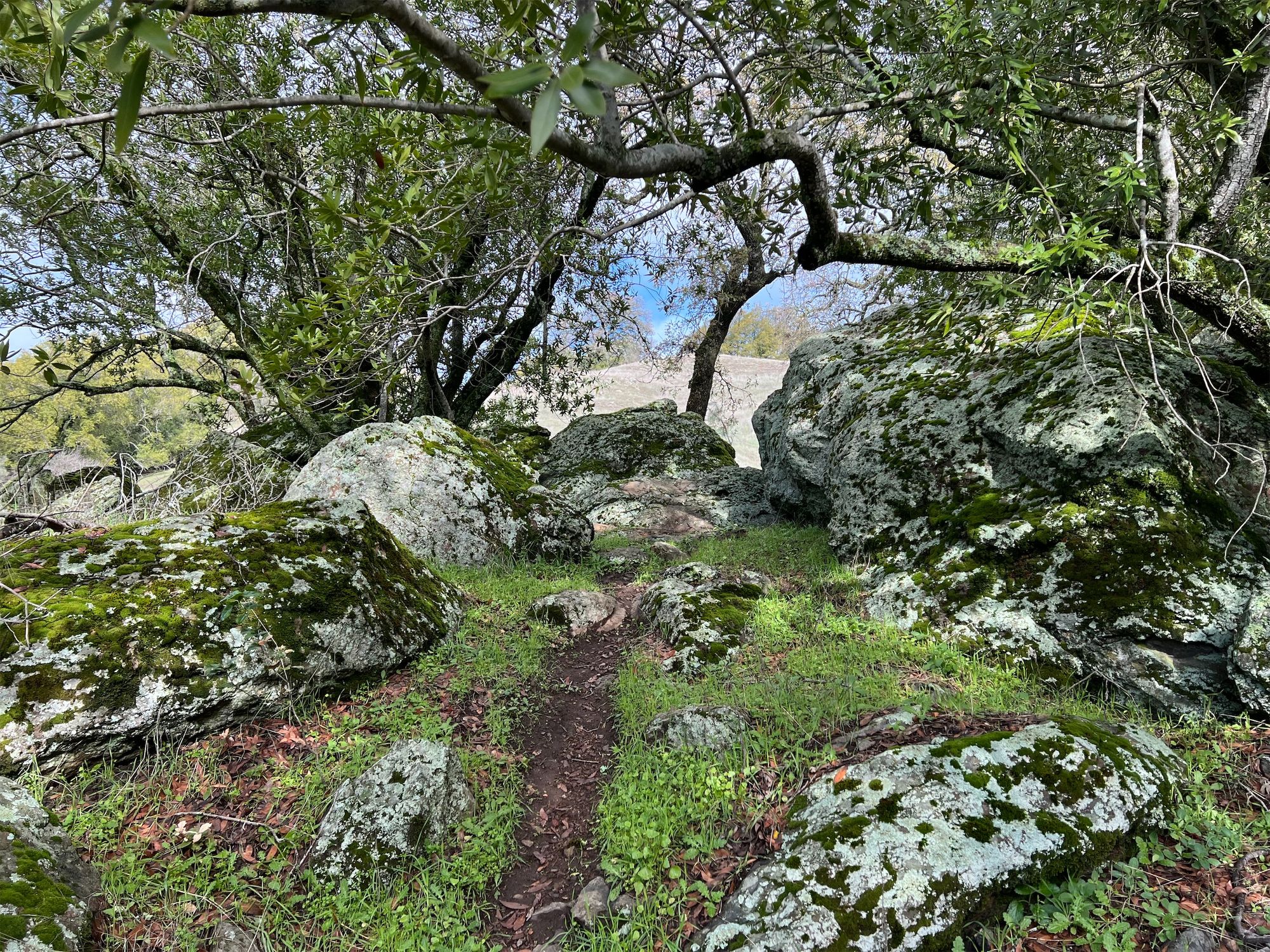 A trail passing through jagged rocks.