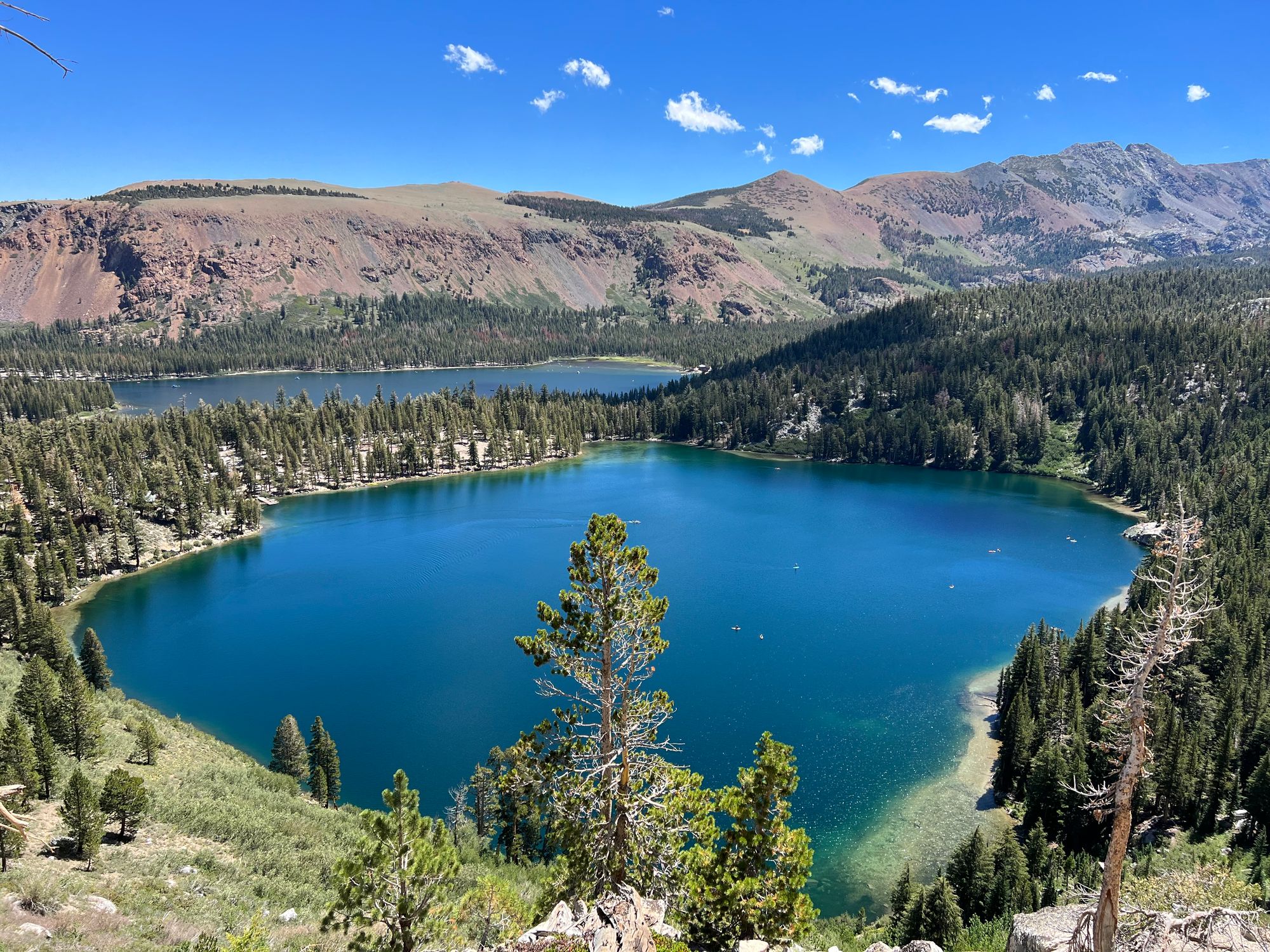 Two blue alpine lakes separated by a thin strip of forested land.