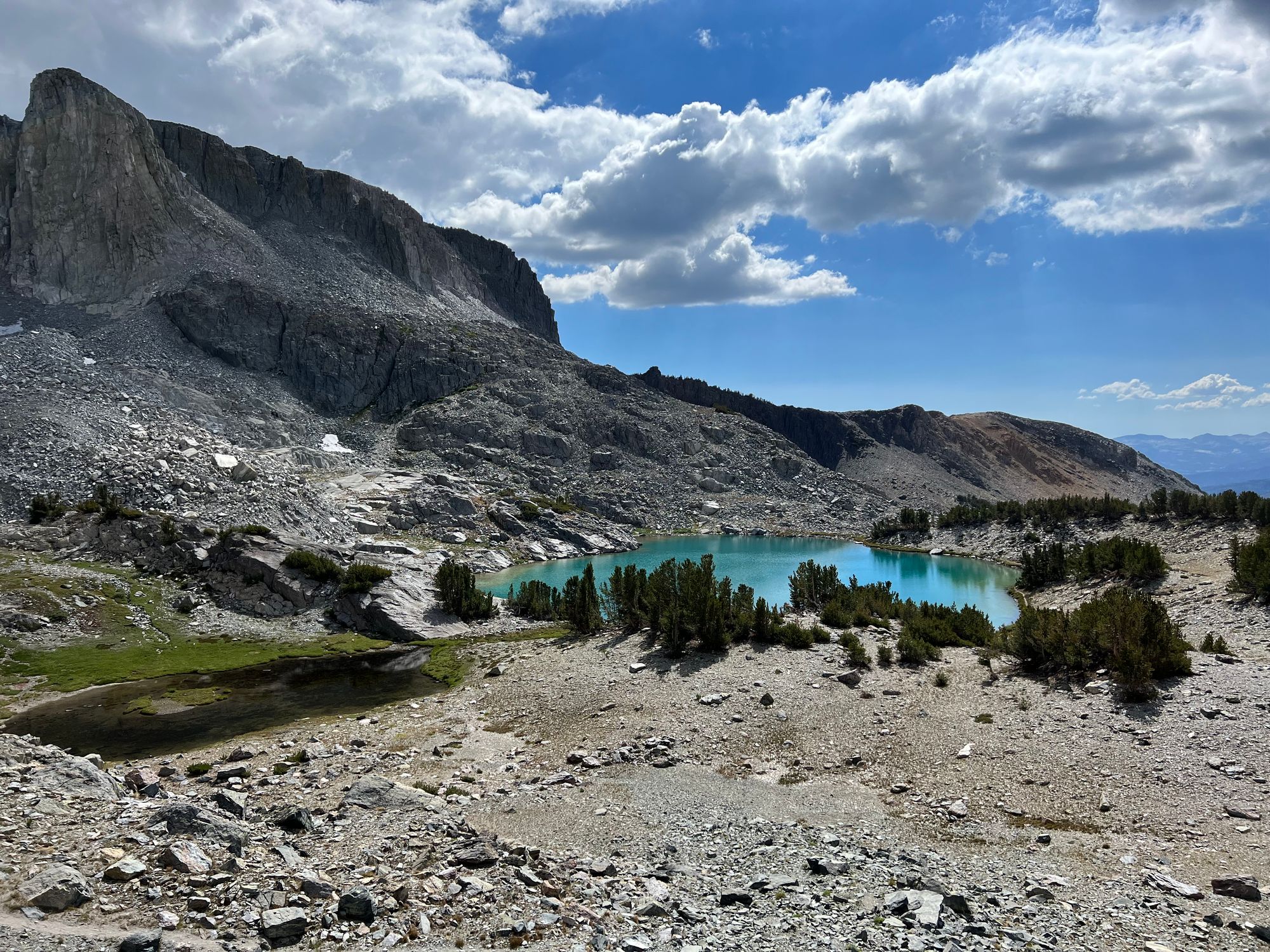 A turquoise lake surrounded by gray talus and pine trees.