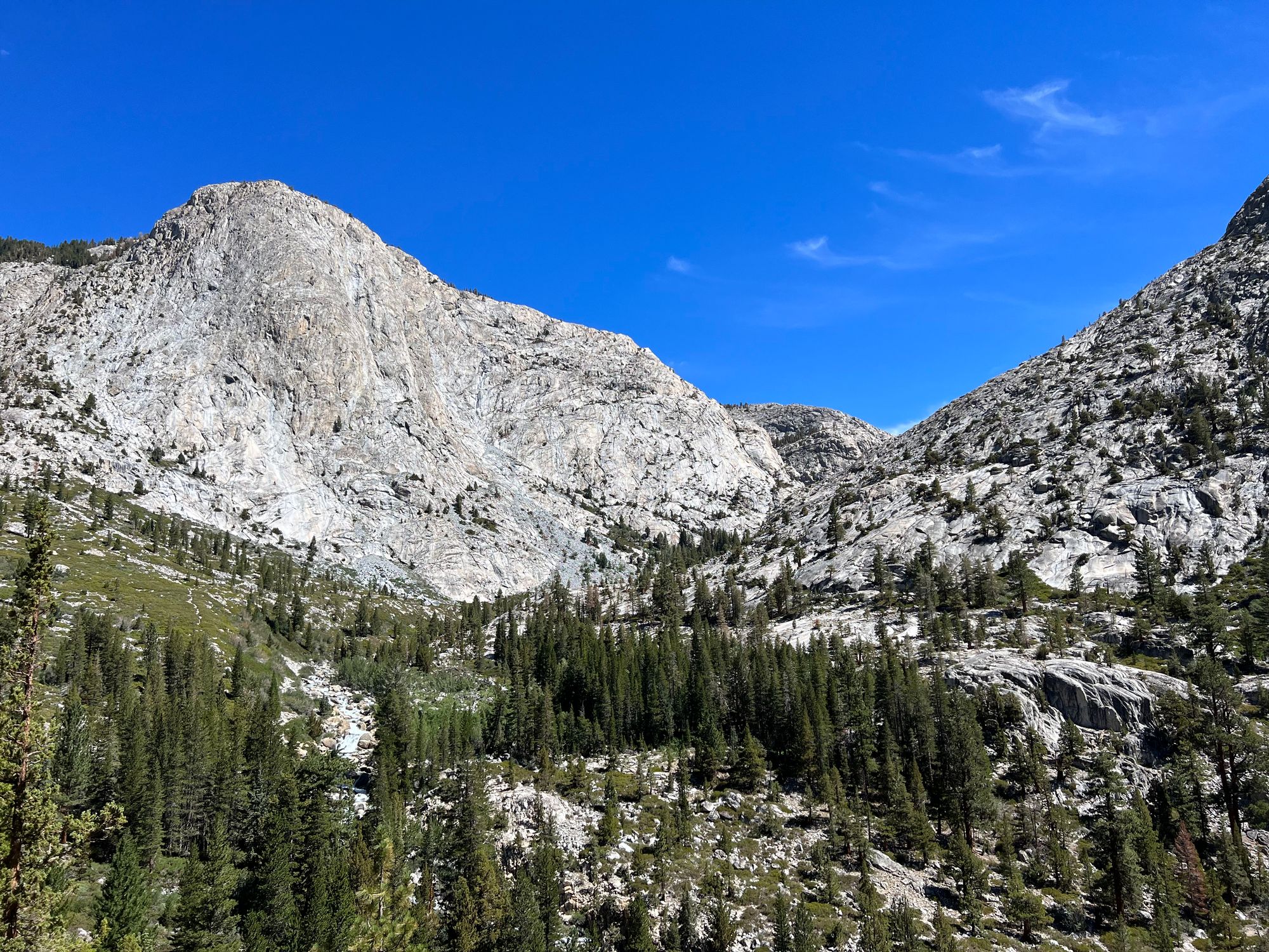 A mountain valley with bare granite mountains, conifers in the valley. 