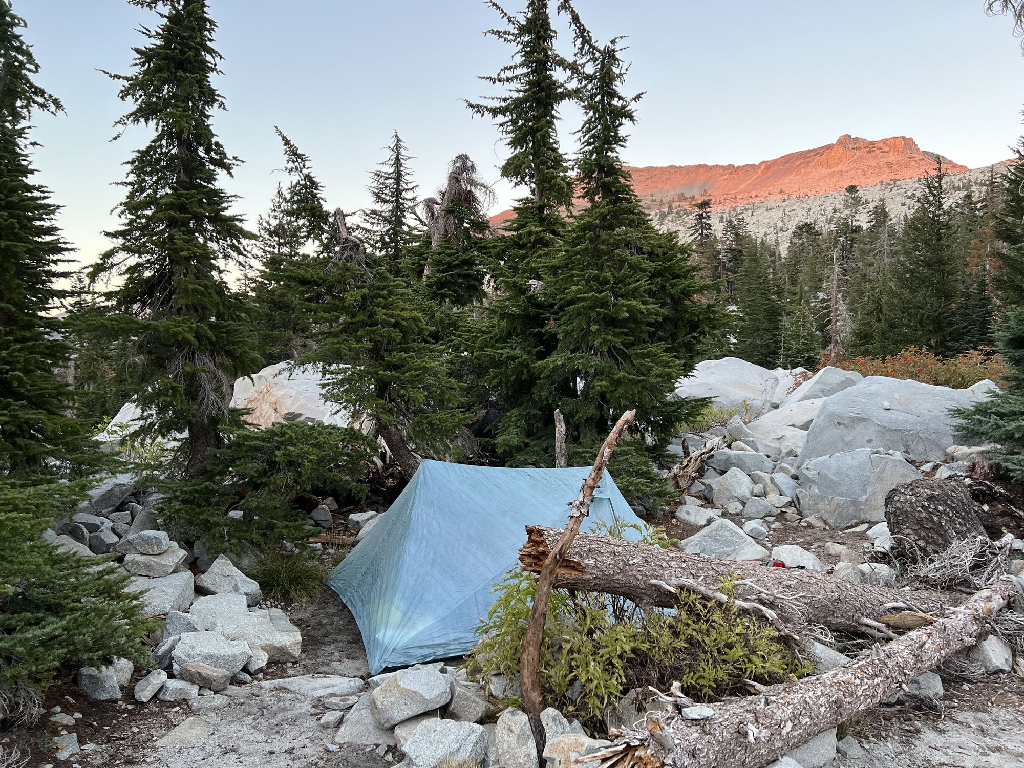 A tent nestled between rocks and a log.
