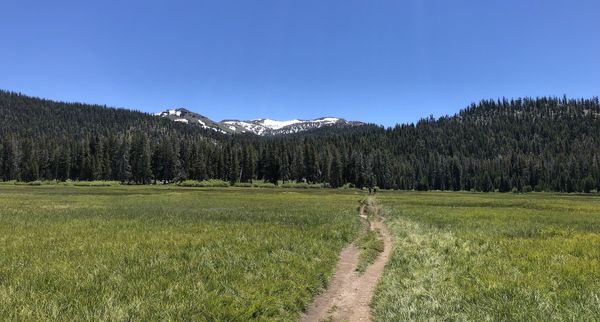 TRT section hike: Van Sickle to Echo Summit