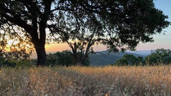 Backpacking to Pacheco Falls in Henry Coe